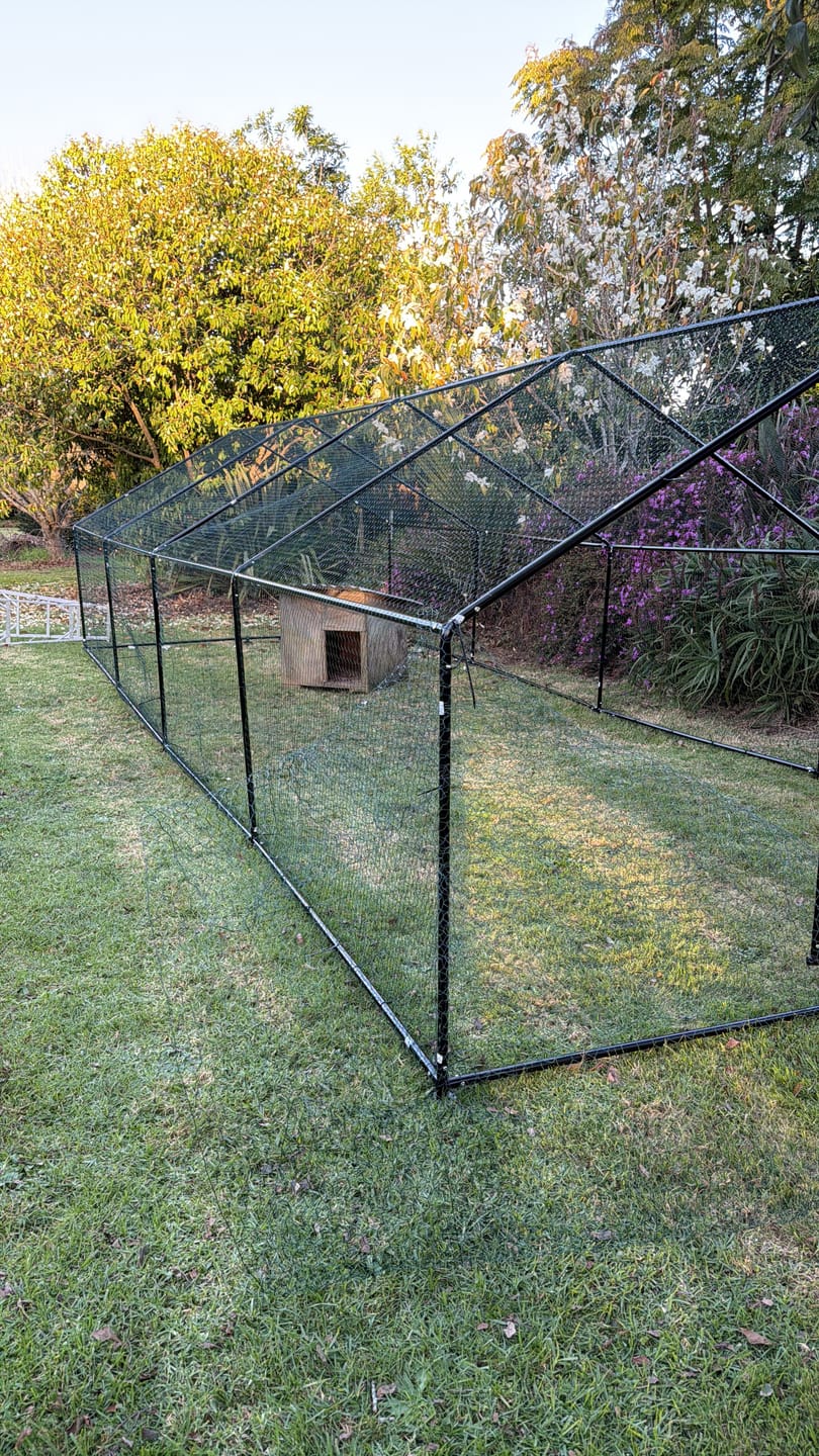 Customer photo review of Aegis Walk-In Chicken Coop Run with 2 UV Covers - 300x800x200cm