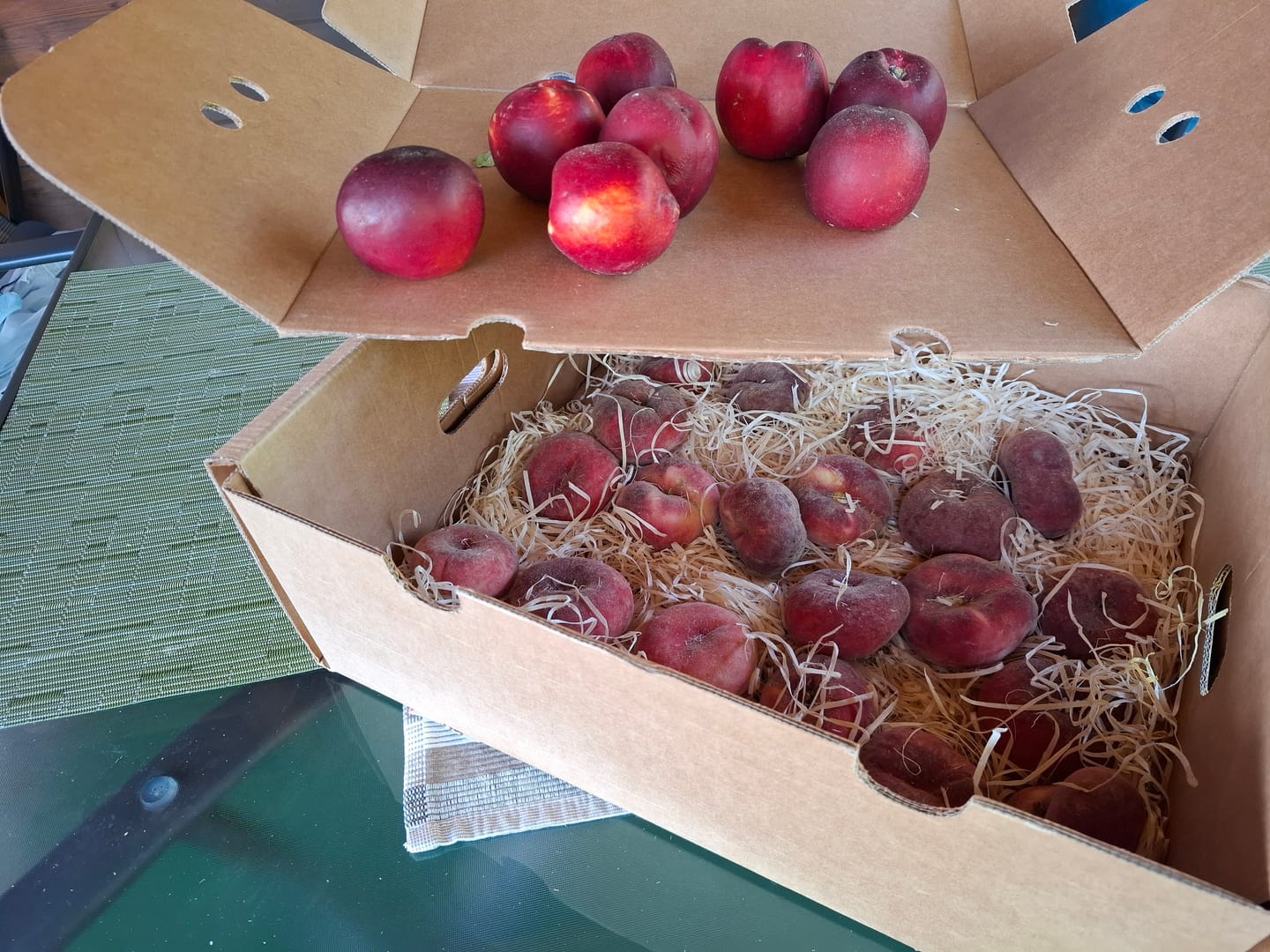 Customer photo review of Pfirsich & Nektarinen Bio von Jordi Retterbox 3kg
