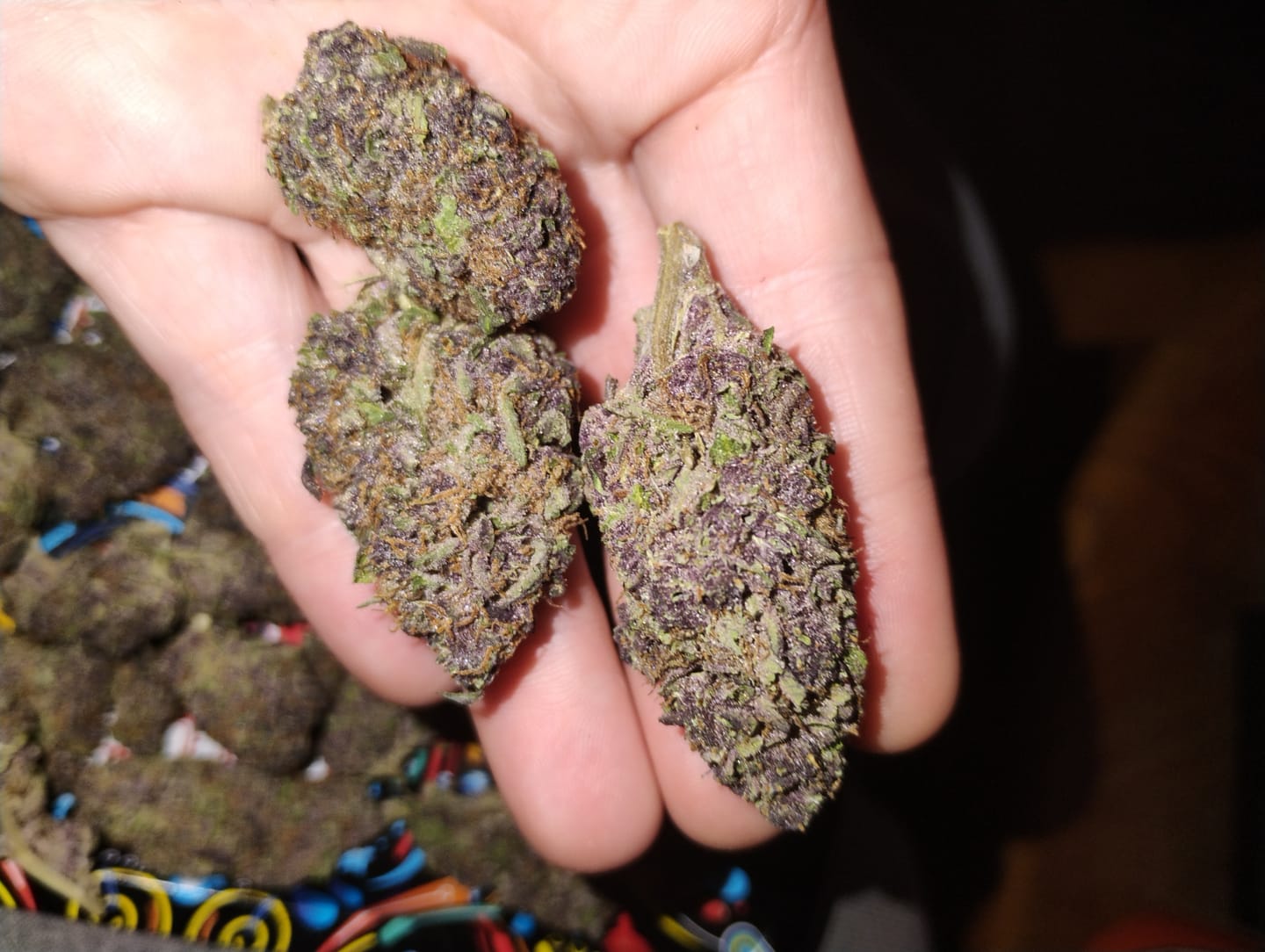 Customer photo review of Granddaddy Purple - 14 Grams - Indica