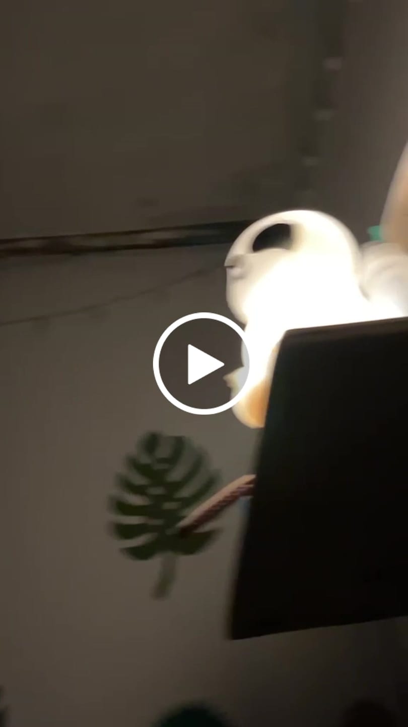 Customer video review of Lámpara con ruido blanco Perezoso