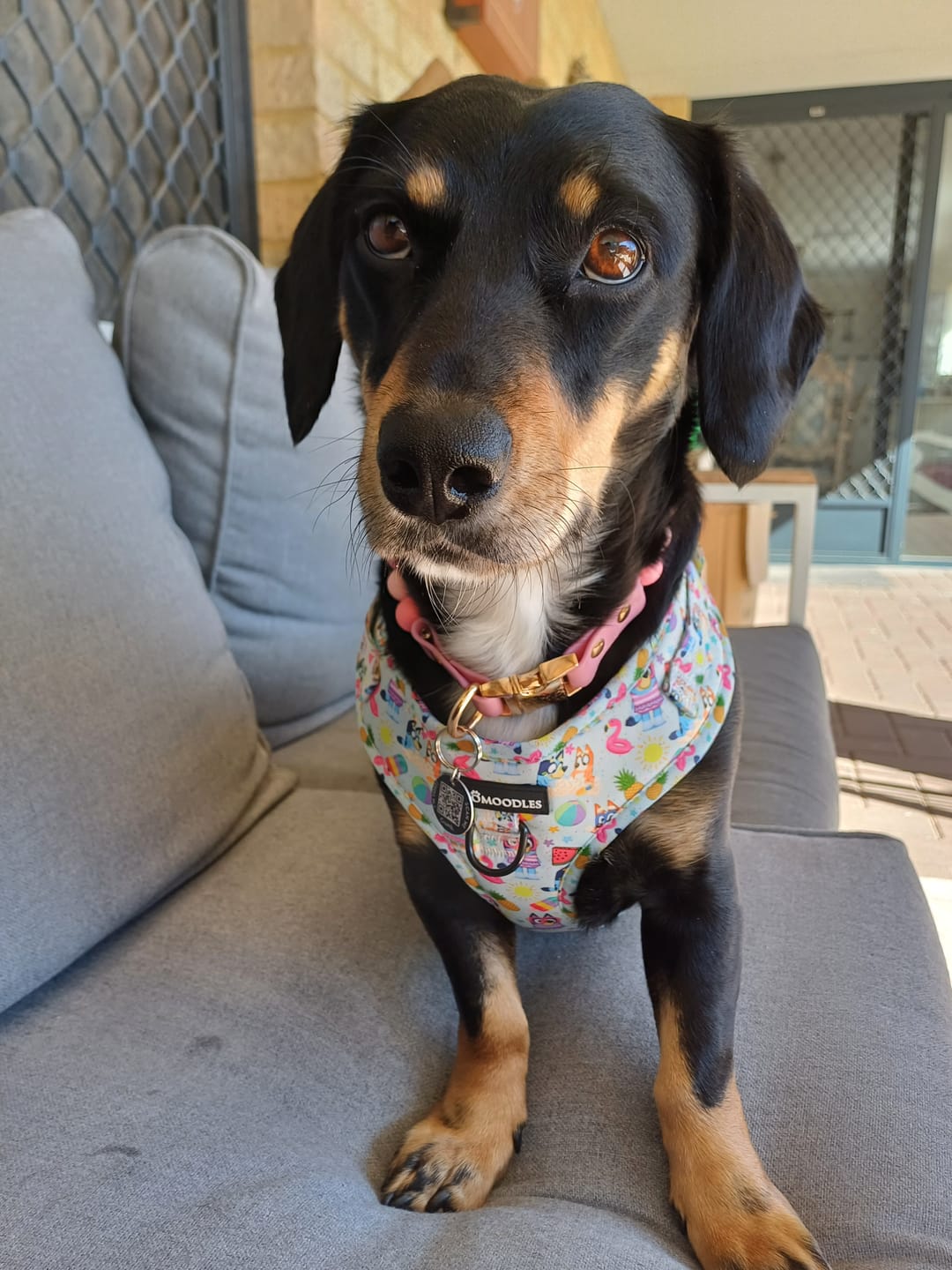 Customer photo review of "BUNNINGS TRIP" MAT