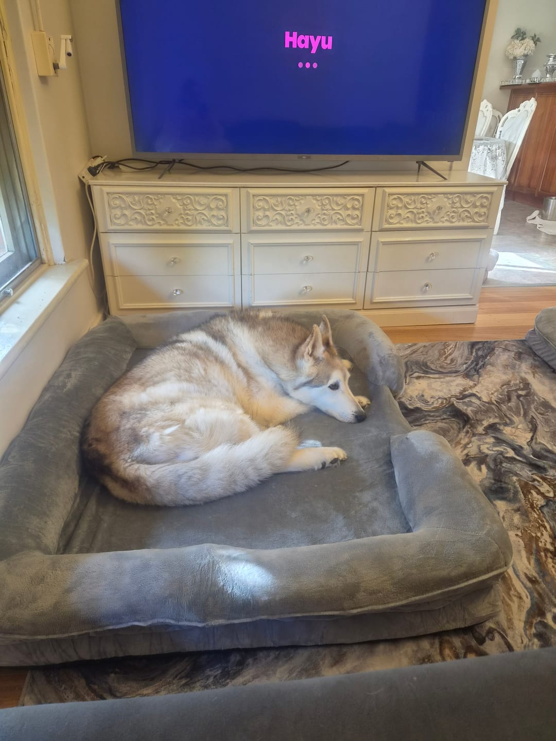 Customer photo review of Memory Foam Pet Sofa Bed