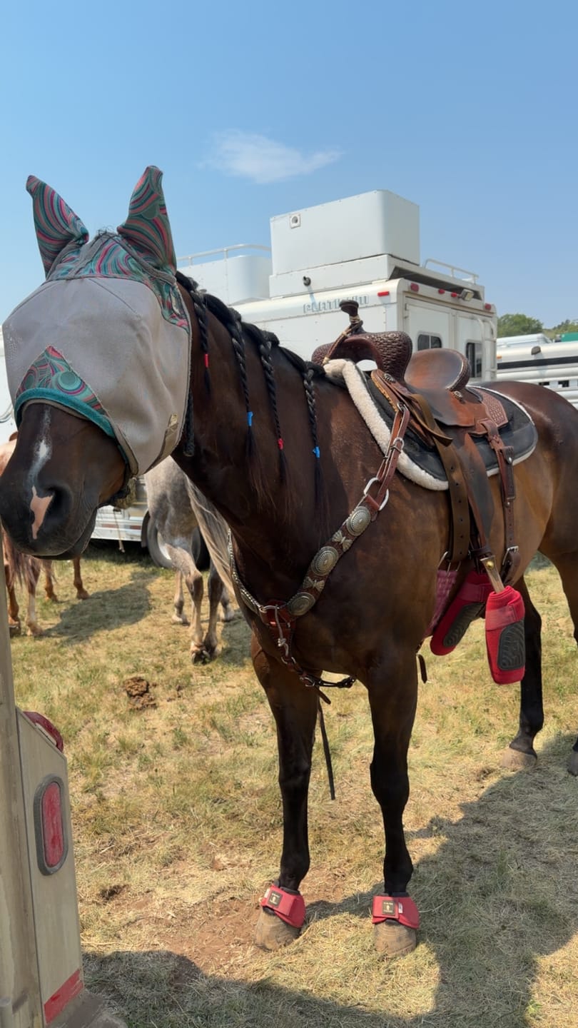 Customer photo review of Elko Breastcollar