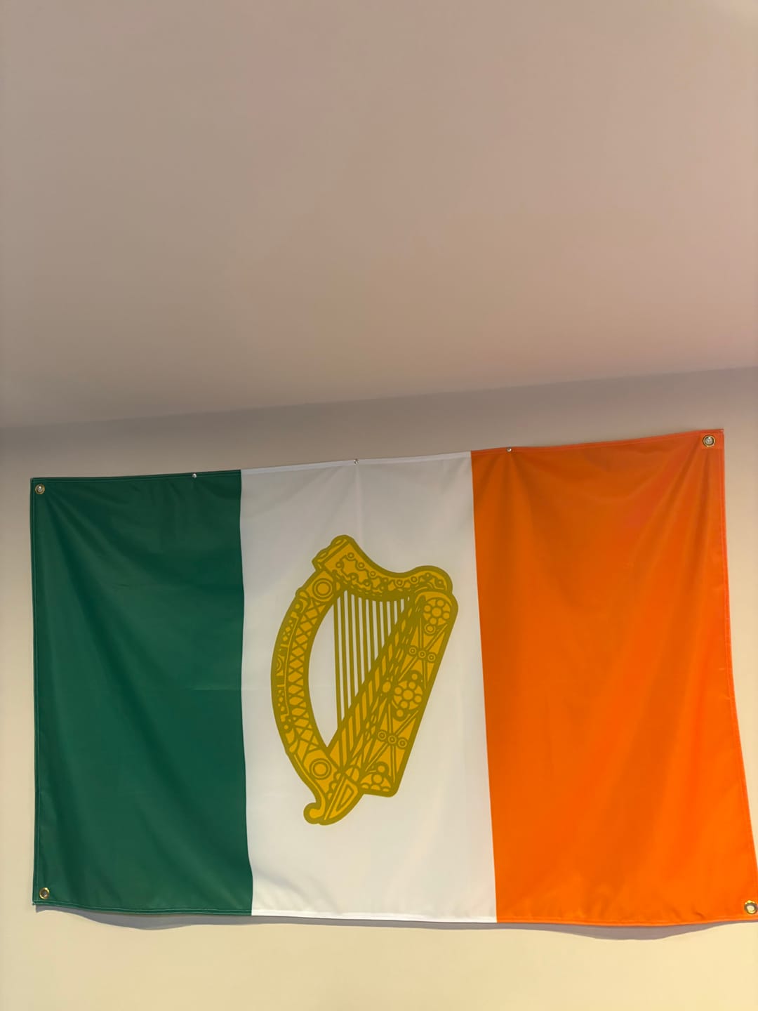Customer photo review of Personalised Standard Flag