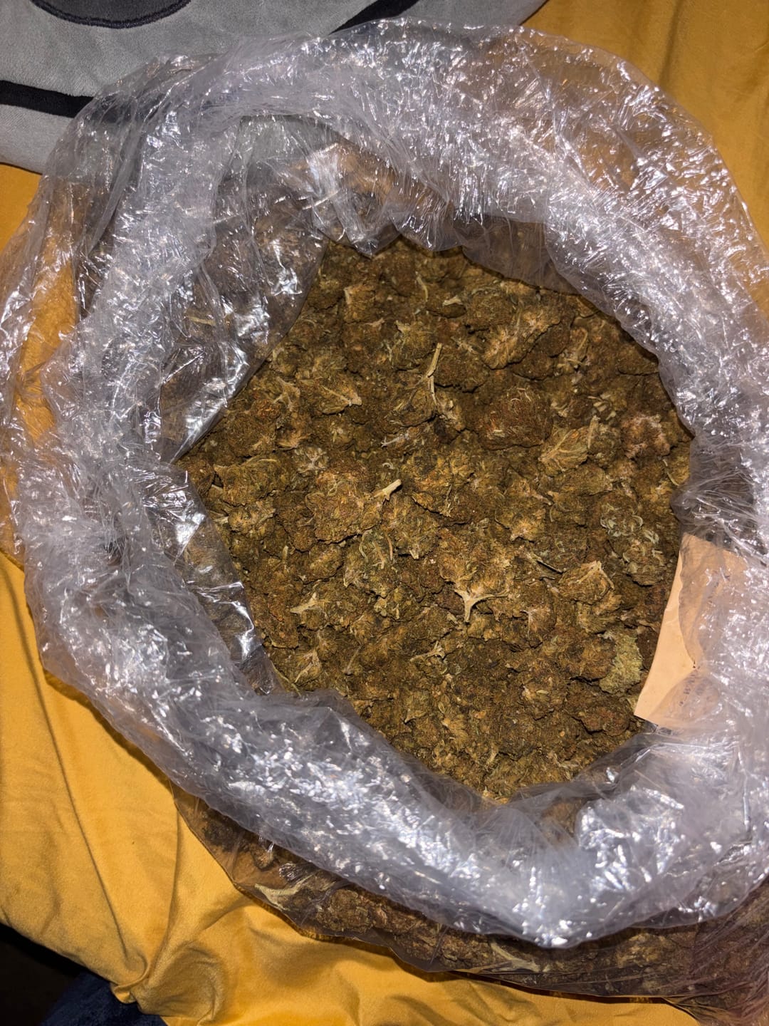 Customer photo review of Butterscotch OG - Bulk - Indica