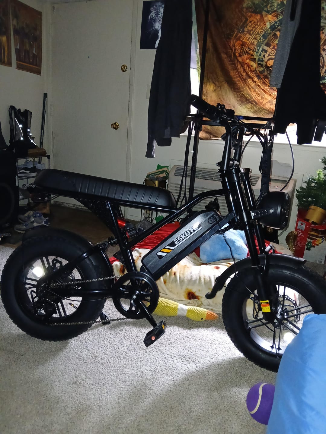 Customer photo review of Eskute® V100 16*4.0" Electric Bike for Kids&Teens