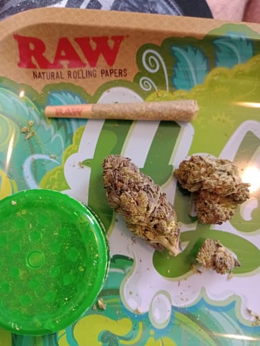 Customer photo review of Hyper Za THCA Flower
