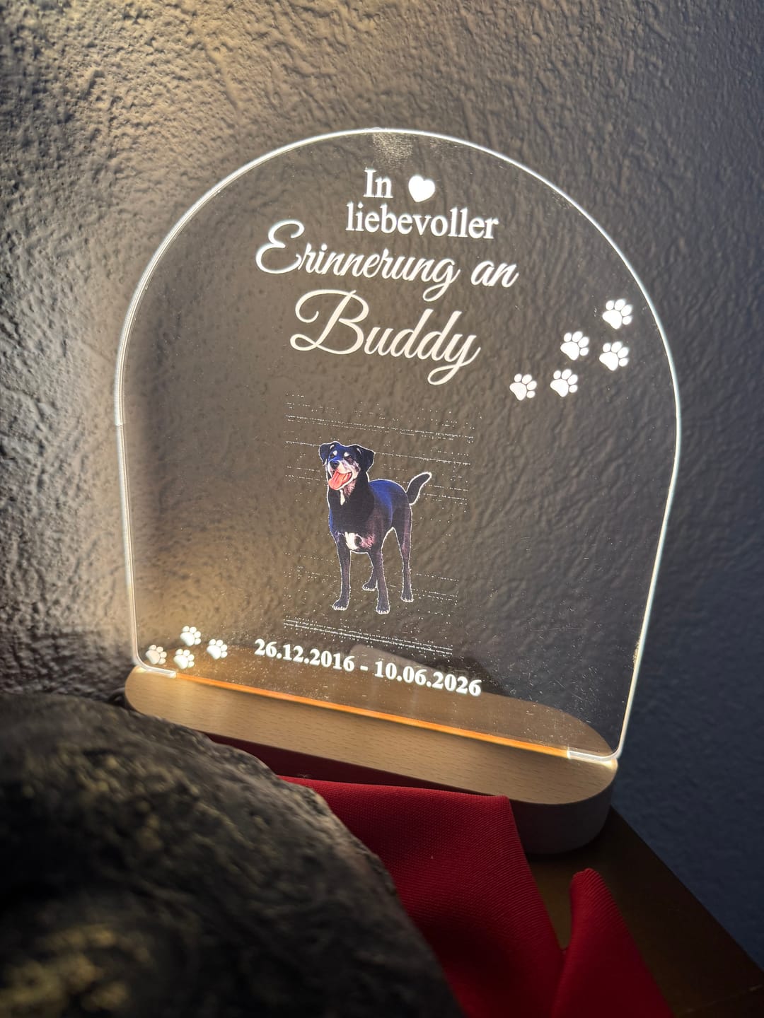 Customer photo review of Zur liebevollen Erinnerung – LED-Lampe für Hund/Katze