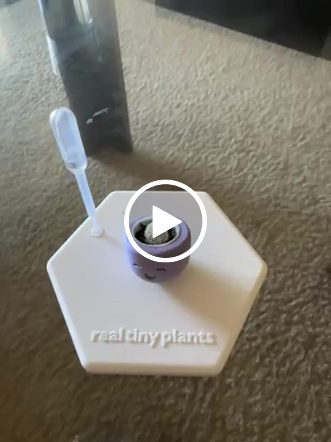Customer video review of Little Lavender