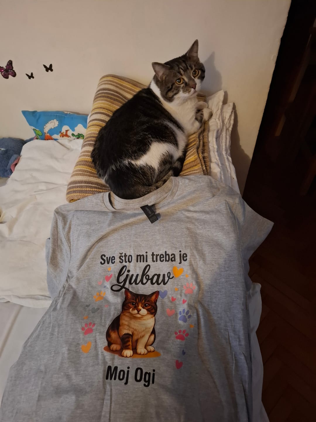 Customer photo review of Sve što mi treba je ljubav - Majica (Unesite sliku vašeg ljubimca i njegovo ime)
