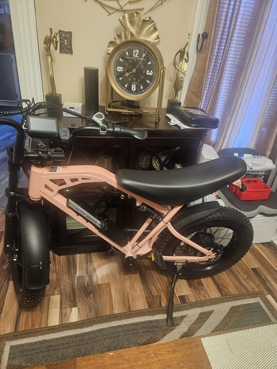 Customer photo review of Eskute® Ebike Combo Sale V200*2