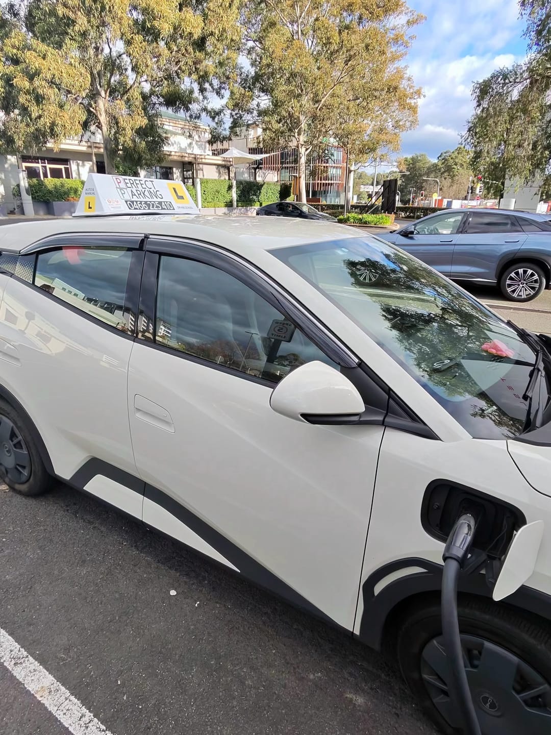 Customer photo review of Weather Shields Window Visors For BYD ATTO 1 (2026)