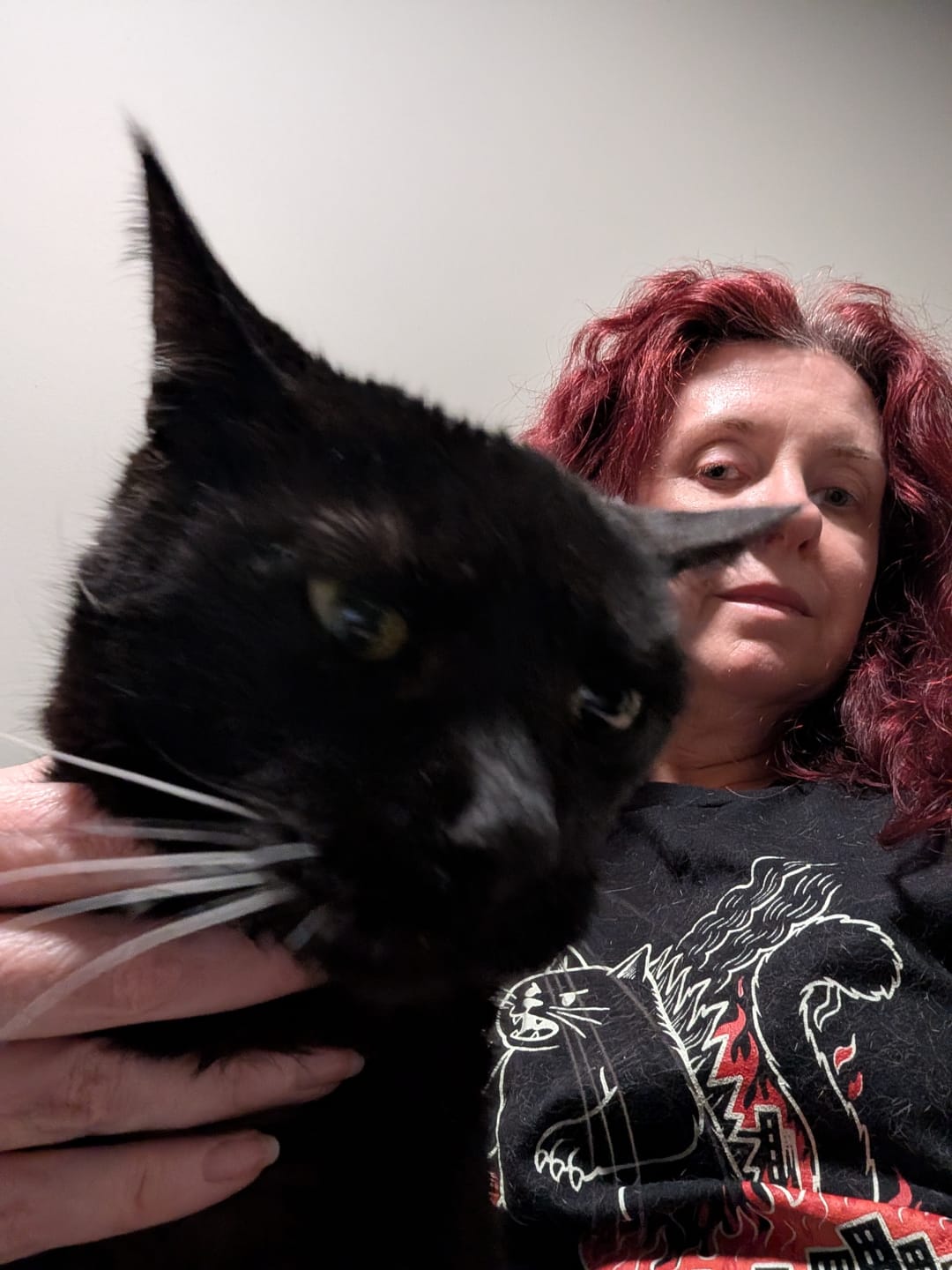 Customer photo review of Catzilla Chaos Womens Tee