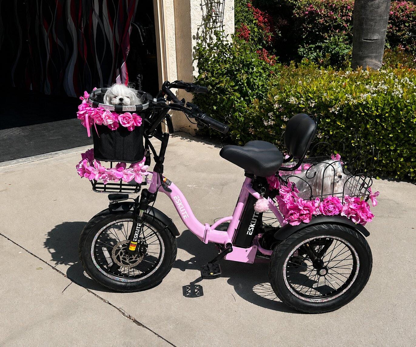 Customer photo review of Eskute® T300 Folding Electric Trike