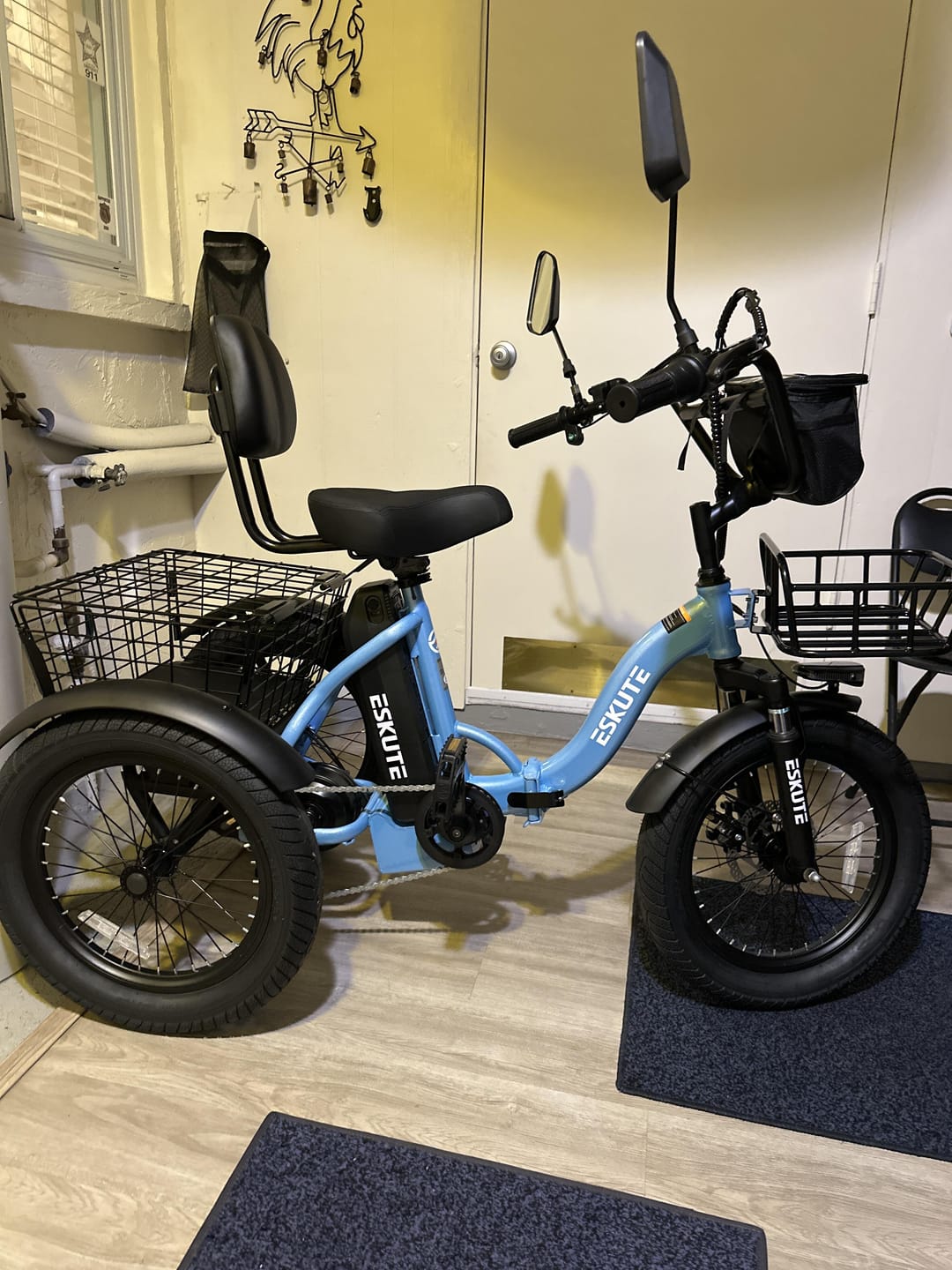 Customer photo review of Eskute® T300Pro Folding Electric Trike