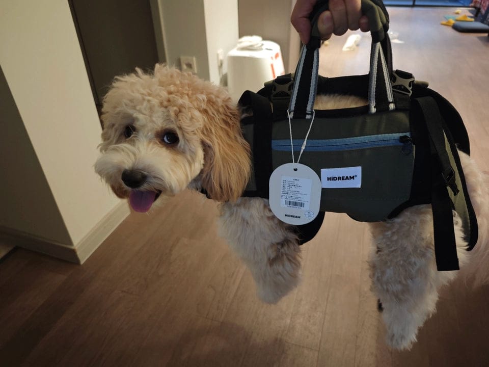 Customer photo review of Small Dog Backpack Carrier – Four-Leg-Out Design with Horizontal Spine Support