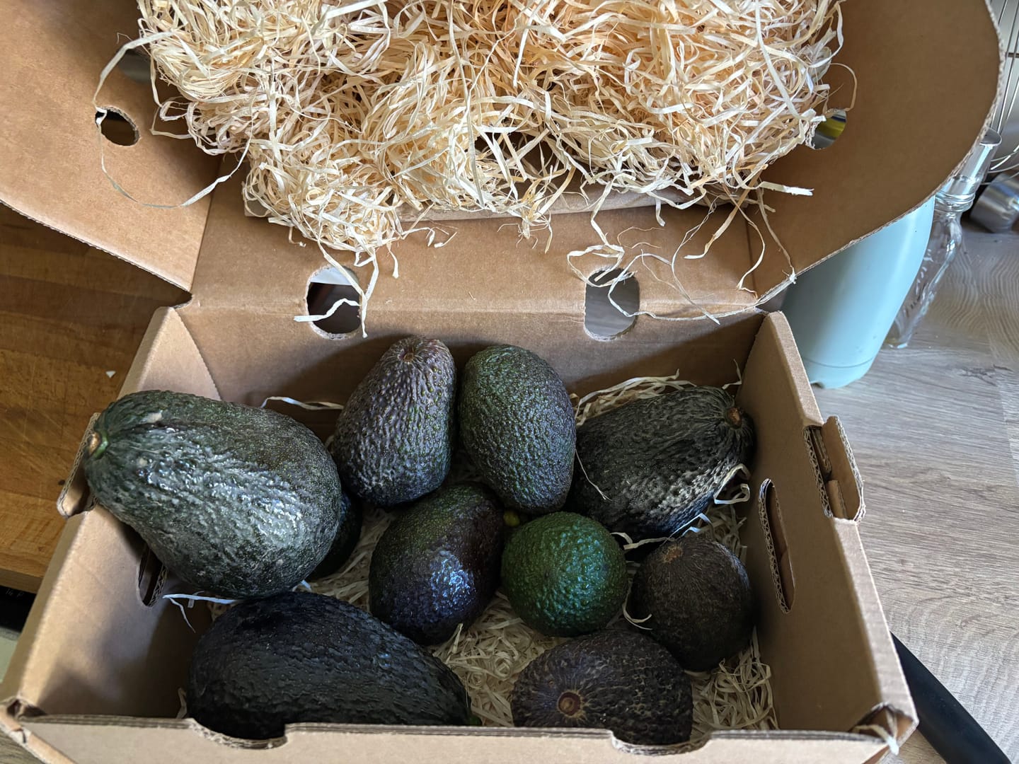 Customer photo review of Avocado Hass & Lamb Hass 15 Monate baumgereift von Julian