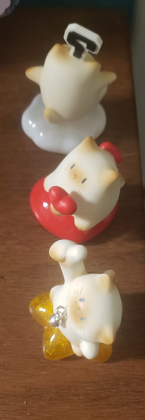 Customer photo review of Cat PAI Joyful Spinning Series Blind Box
