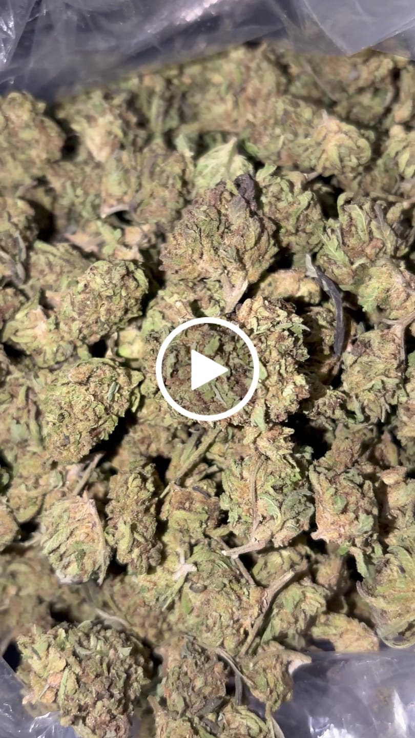 Customer video review of Super Runtz Mediums - Bulk Mediums - Hybrid