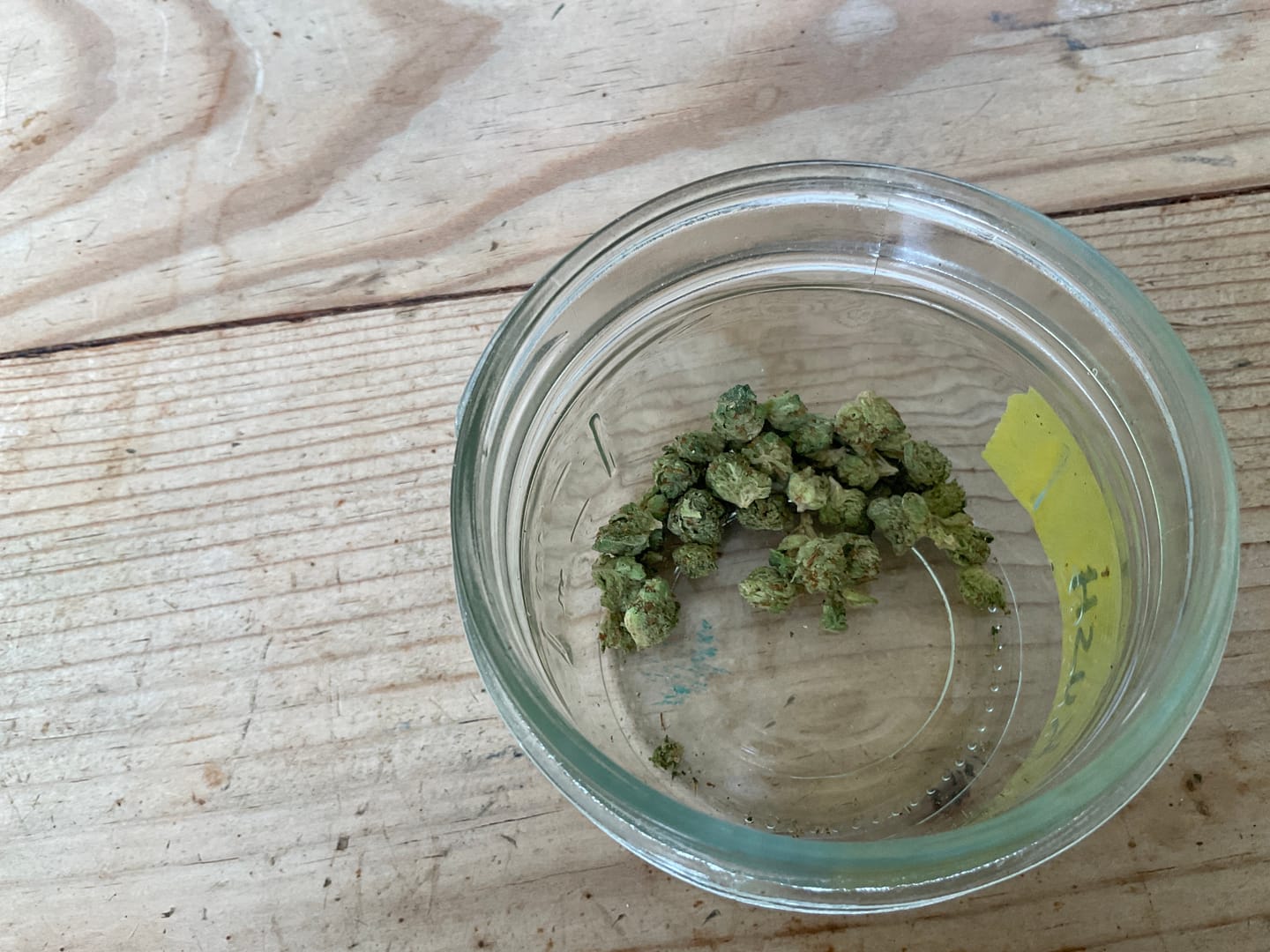 Customer photo review of OG Kush - 14 Grams - Indica