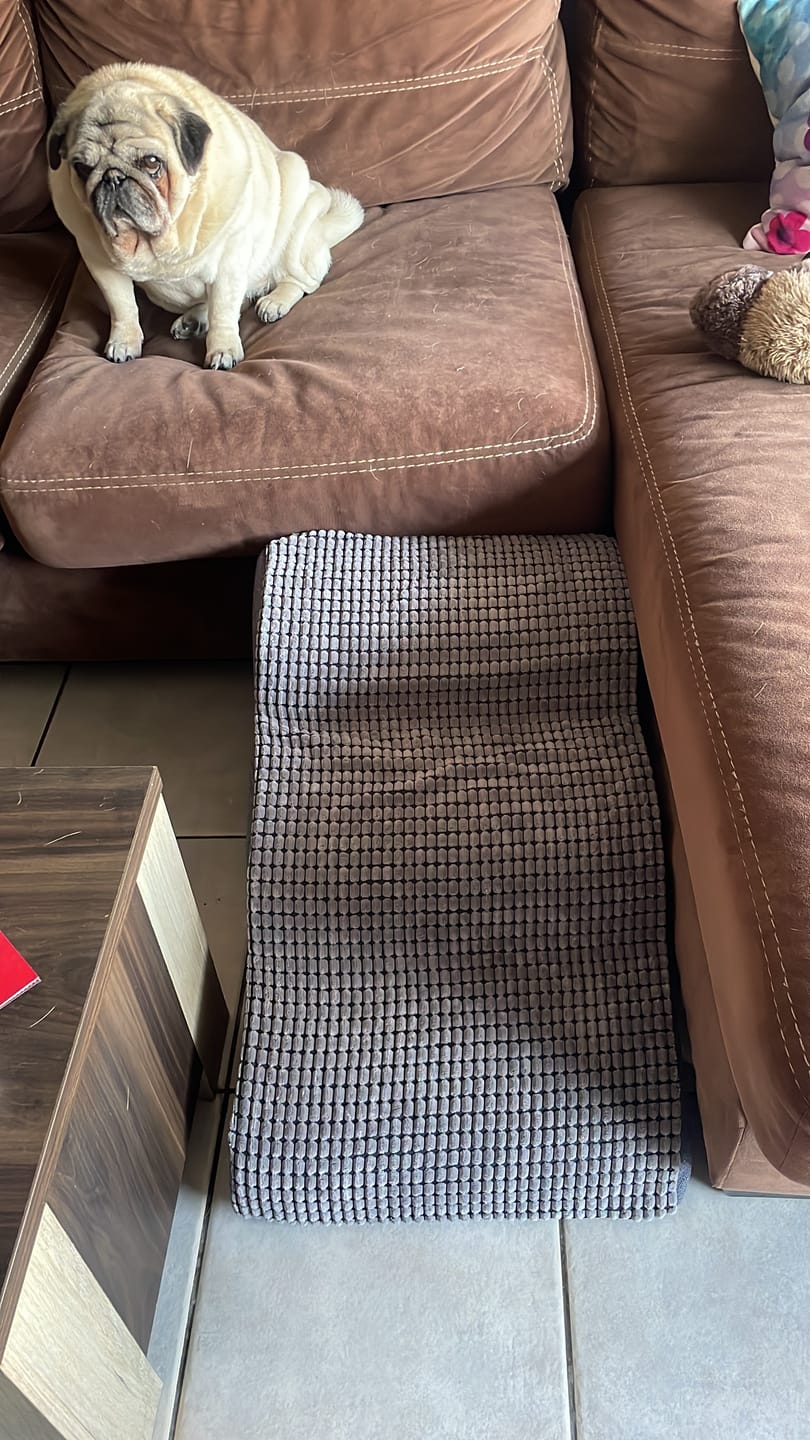 Customer photo review of Rampa Pendiente Suave THE DOGS