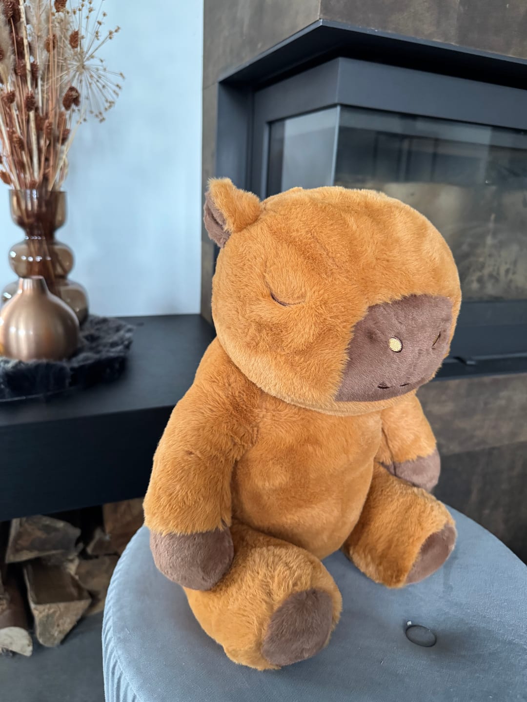 Customer photo review of Huggle Buddy Capybara Verzwaringsknuffel (2kg)