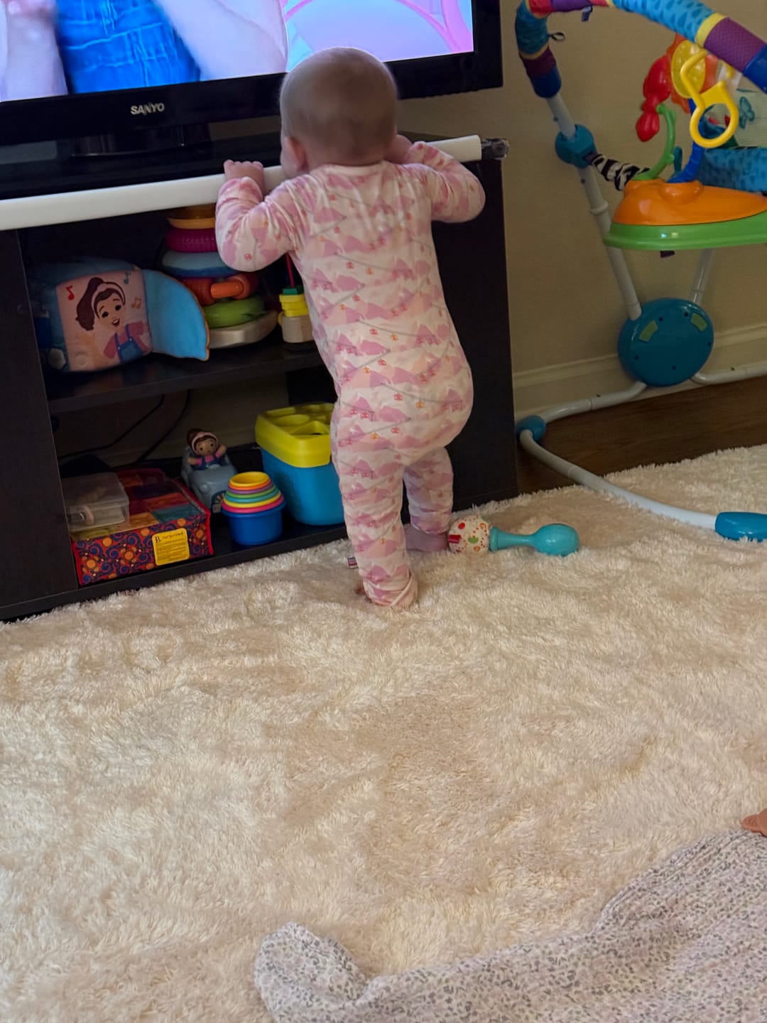 Customer photo review of Deluxe Shaggy Relax Mat - 1.4" Thick Foam Base