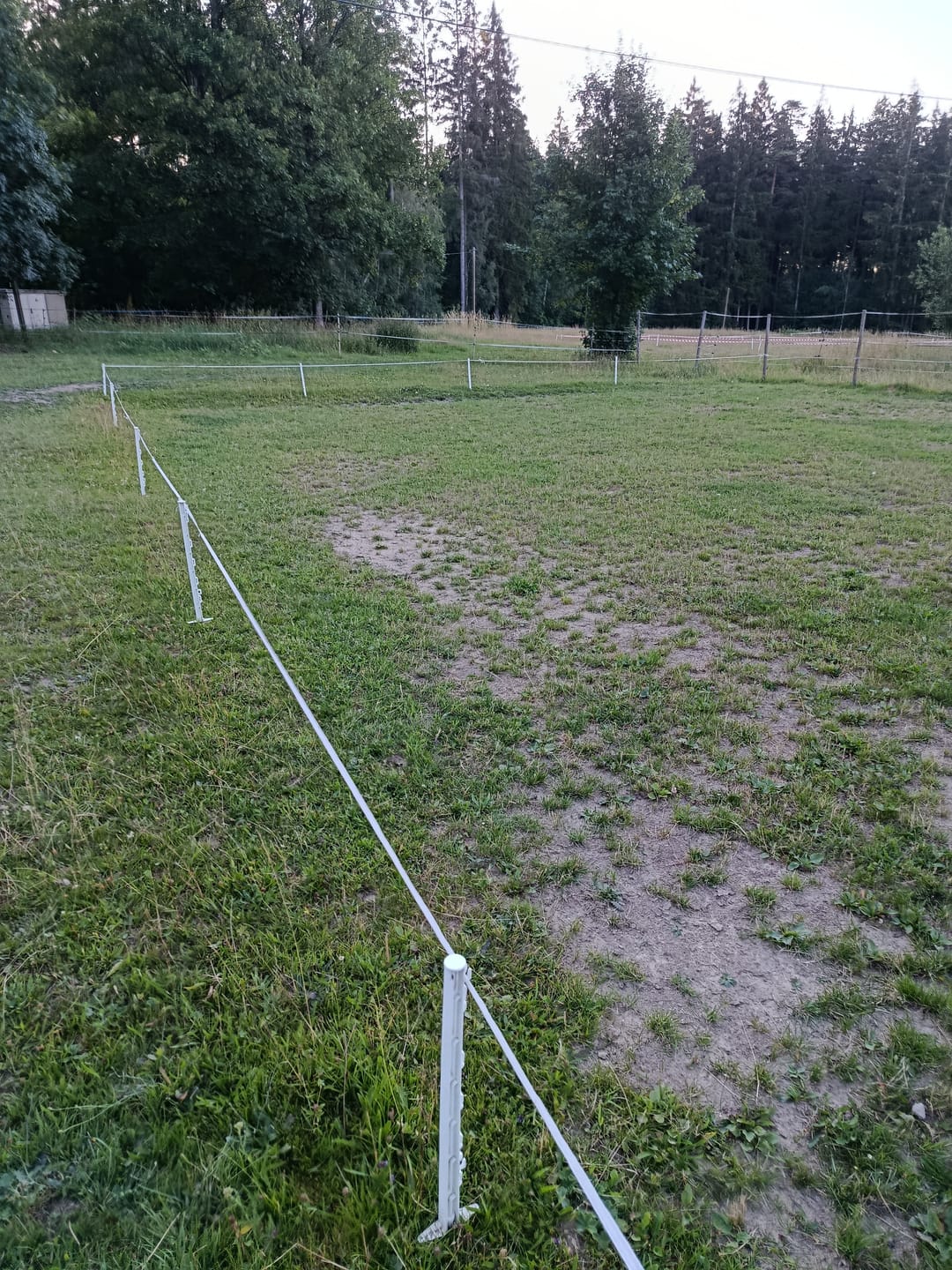 Customer photo review of 20x Weidezaunpfähle »Kunststoff« 75cm Wildzaunpfähle