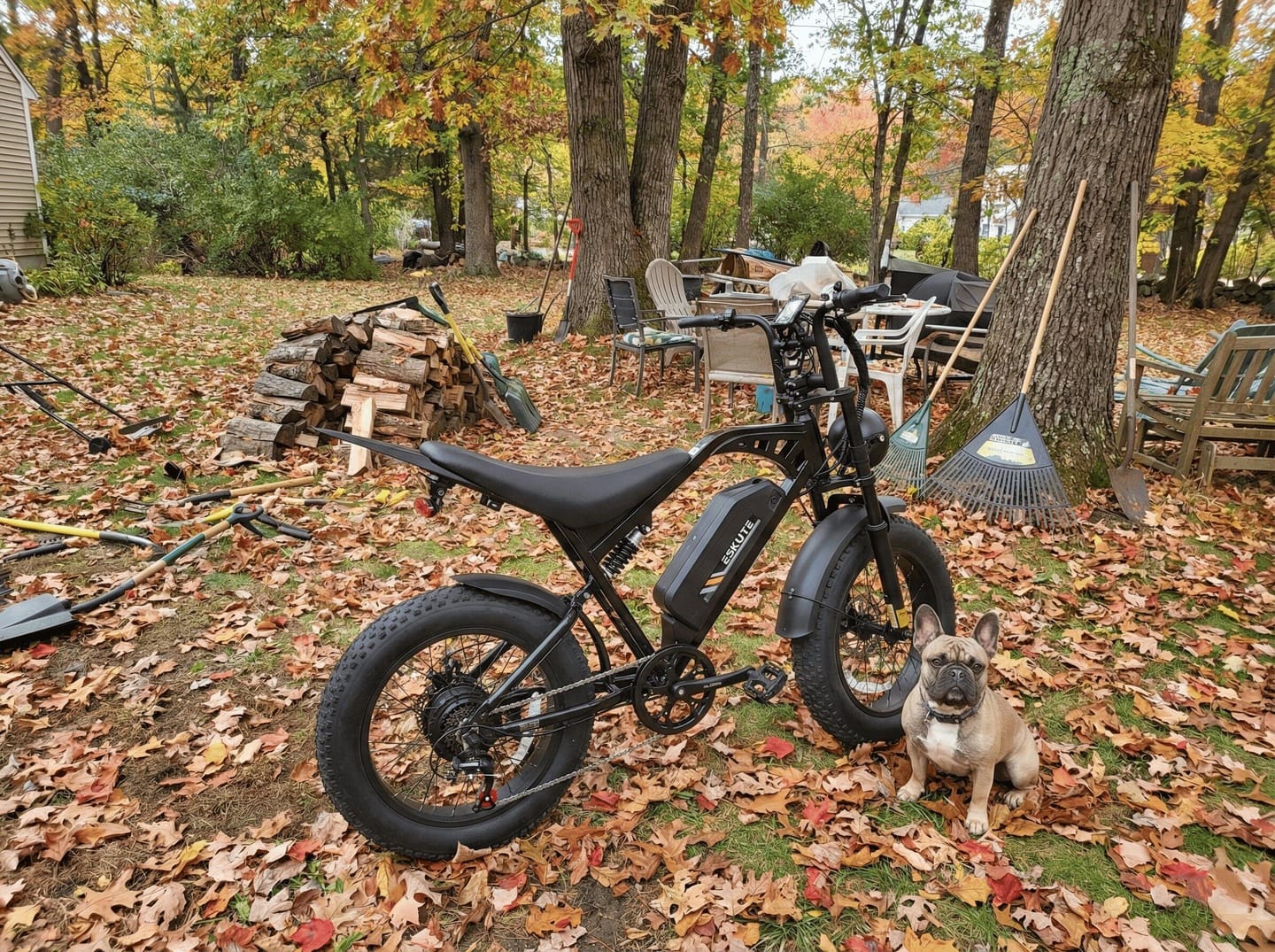 Customer photo review of Eskute® V200 20*4.0" Dirt Electric Bike for Kids&Teens