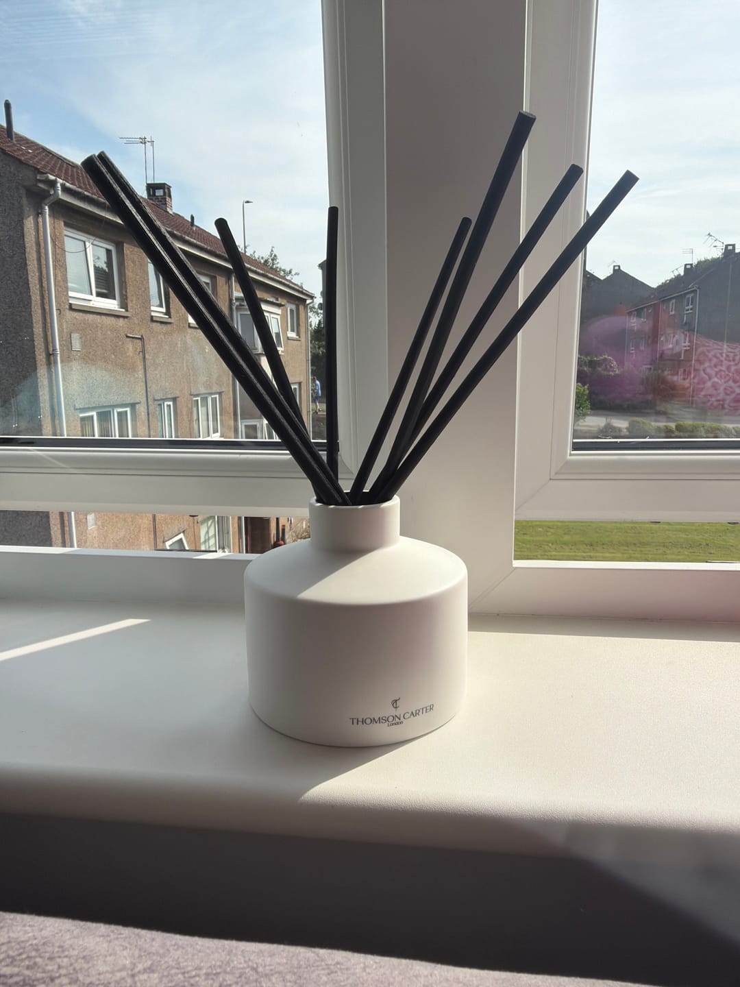 Customer photo review of Shelby Lane | Ceramic Reed Diffuser