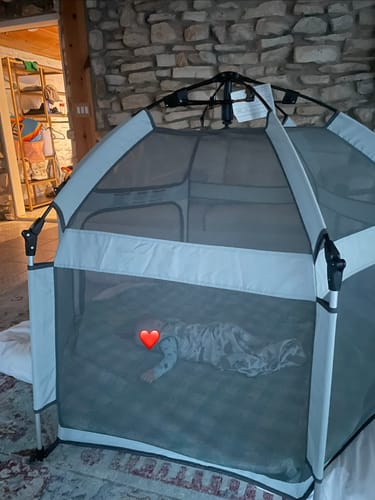 Customer photo review of Pop 'N Go® Playpen