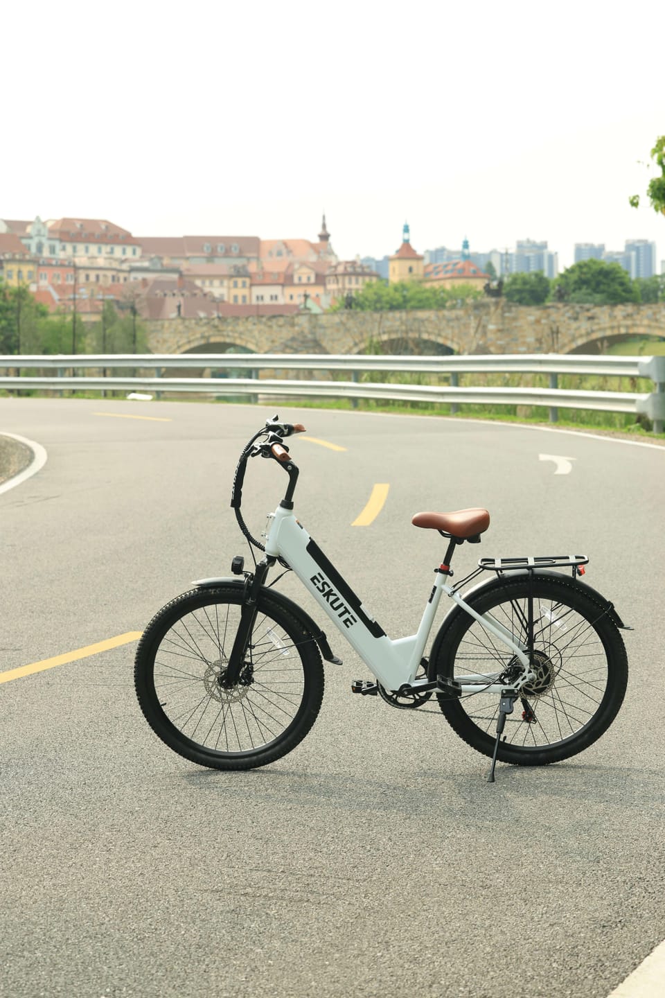 Customer photo review of Eskute® C200 ST City Commuter Electric Bike