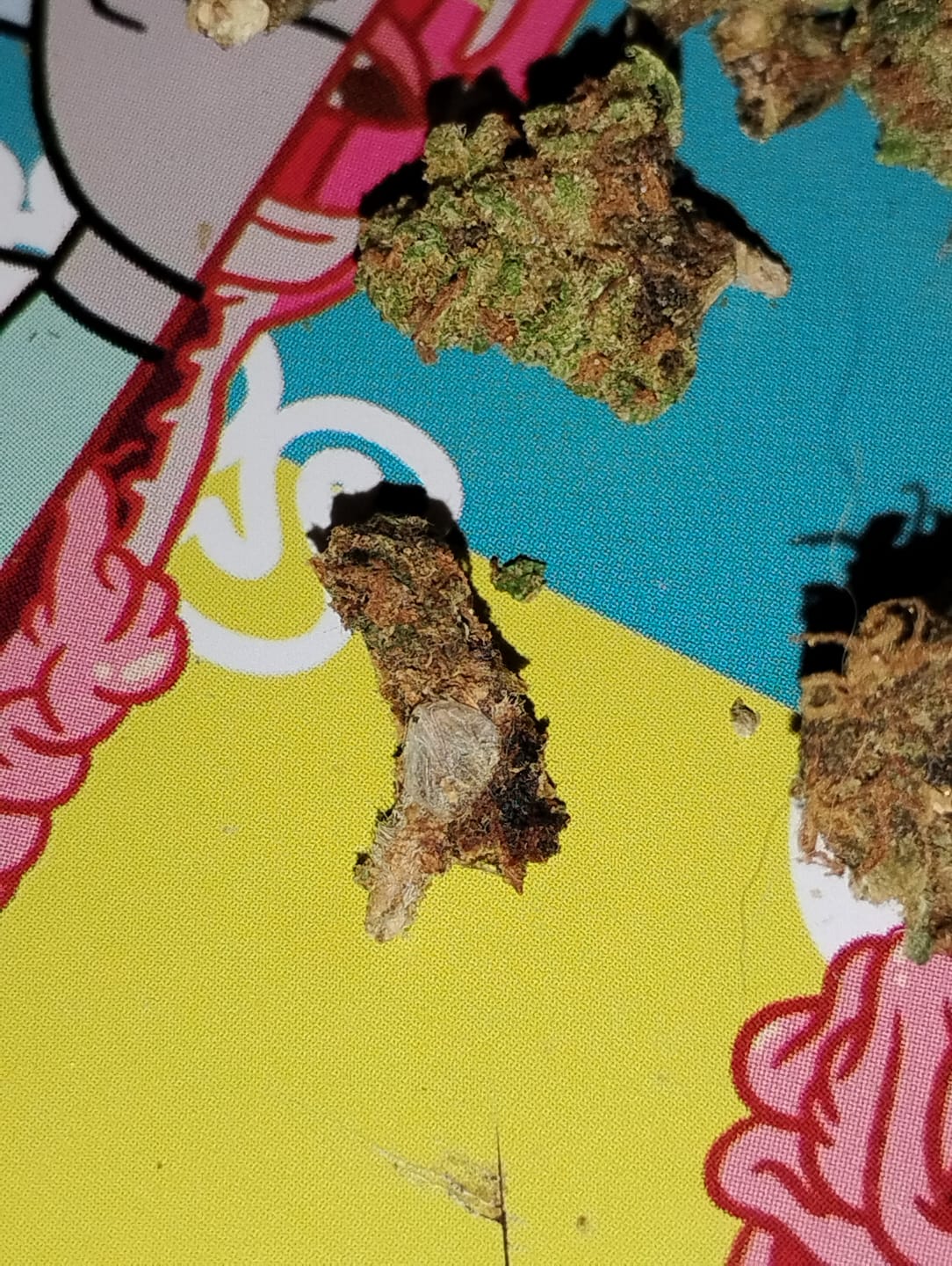 Customer photo review of LITTLES BRAND - Apple Banana - 28 Grams Littles - Hybrid