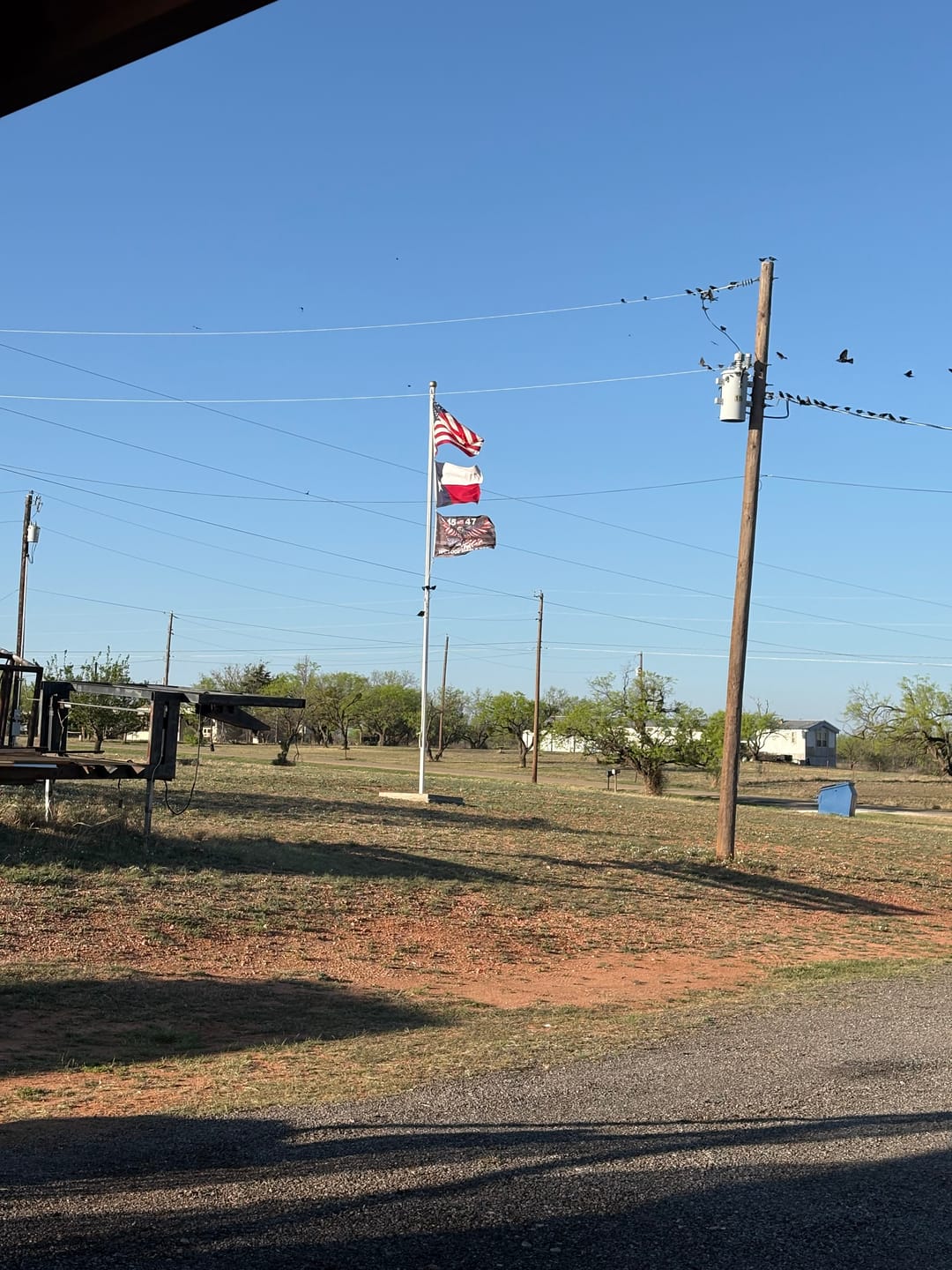 Customer photo review of 3' x 5' Texas Flag