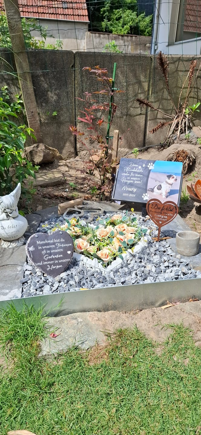 Customer photo review of Hunde Gedenktafel mit Foto & Spruch (UV- & Wetterfest)