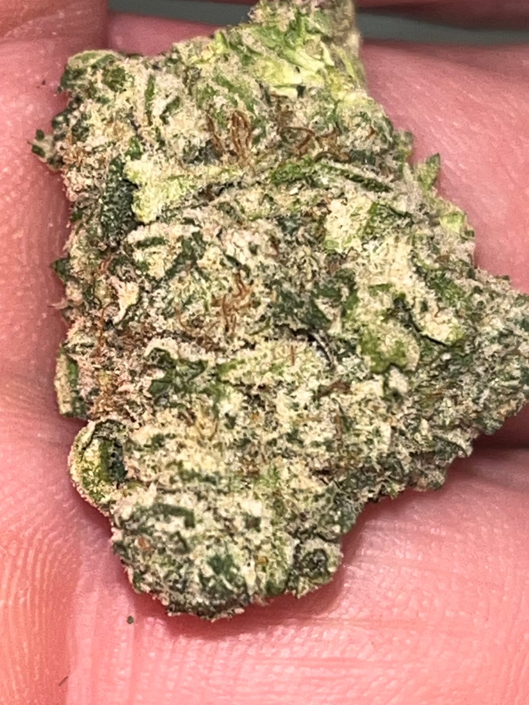 Customer photo review of Maui Wowie Minis - Bulk Minis - Sativa