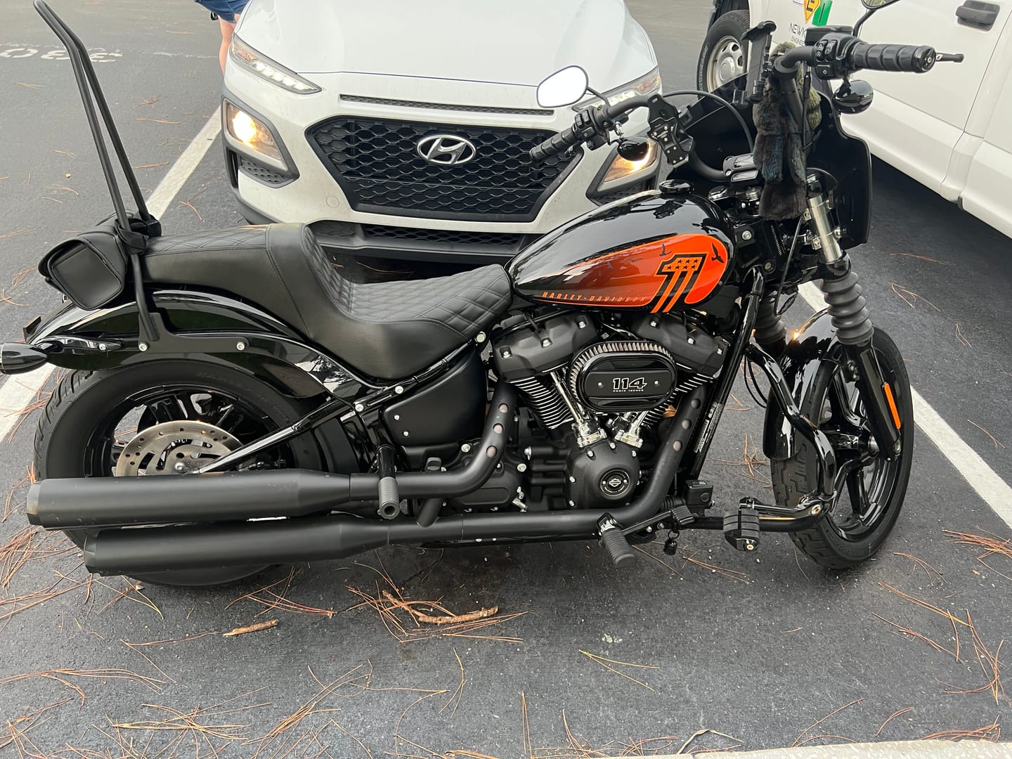 Customer photo review of Iron Born Diamond Stitch 2-Up Seat for Harley Softail Street Bob FXBB/S