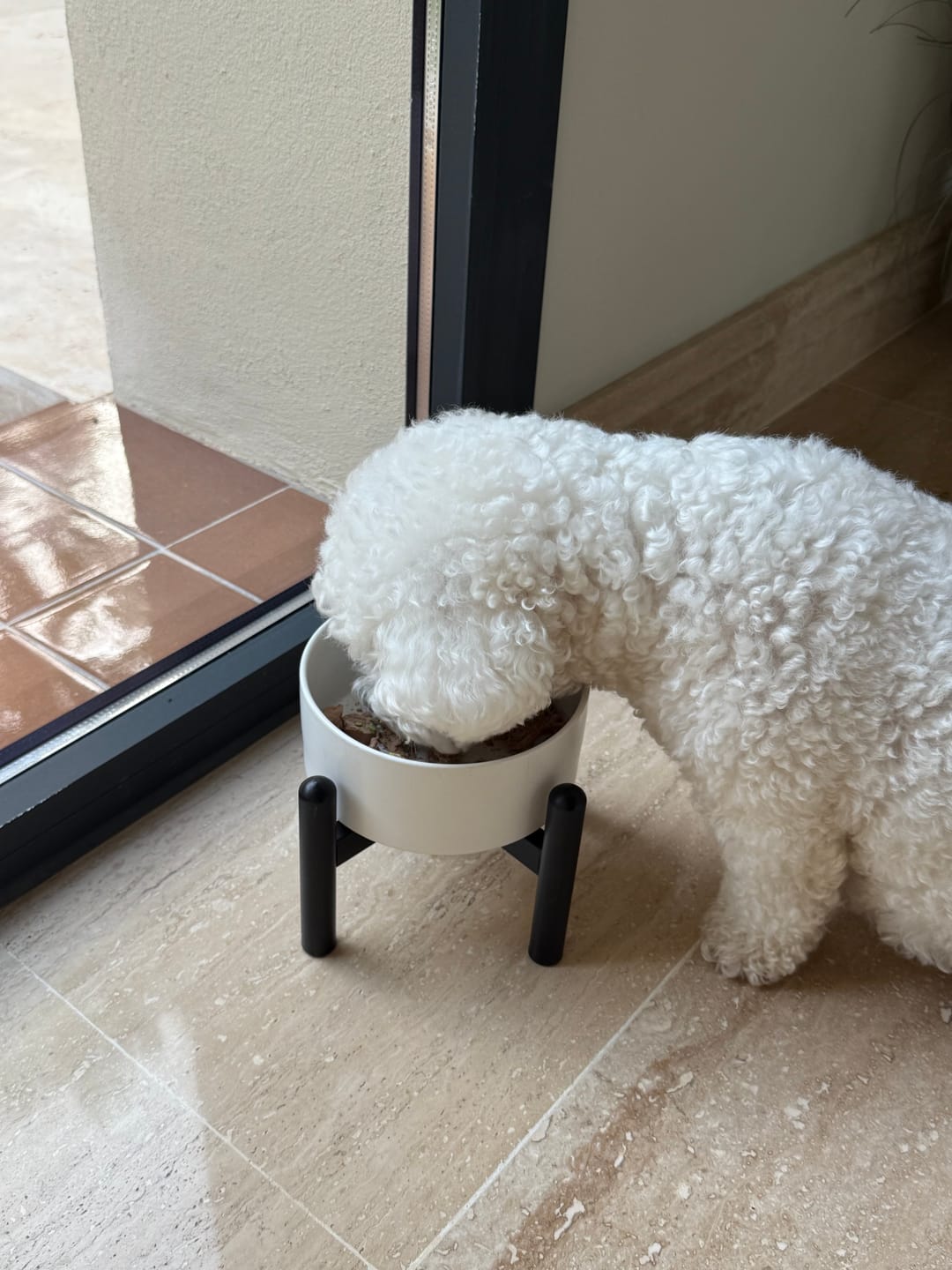 Customer photo review of Natural & Balanced Beef Recipe For Dogs