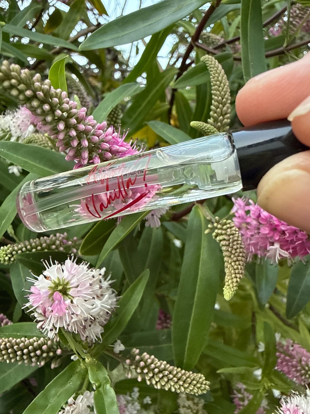 Customer photo review of Are You Vanilla Day | Eau de Parfum | 2ml