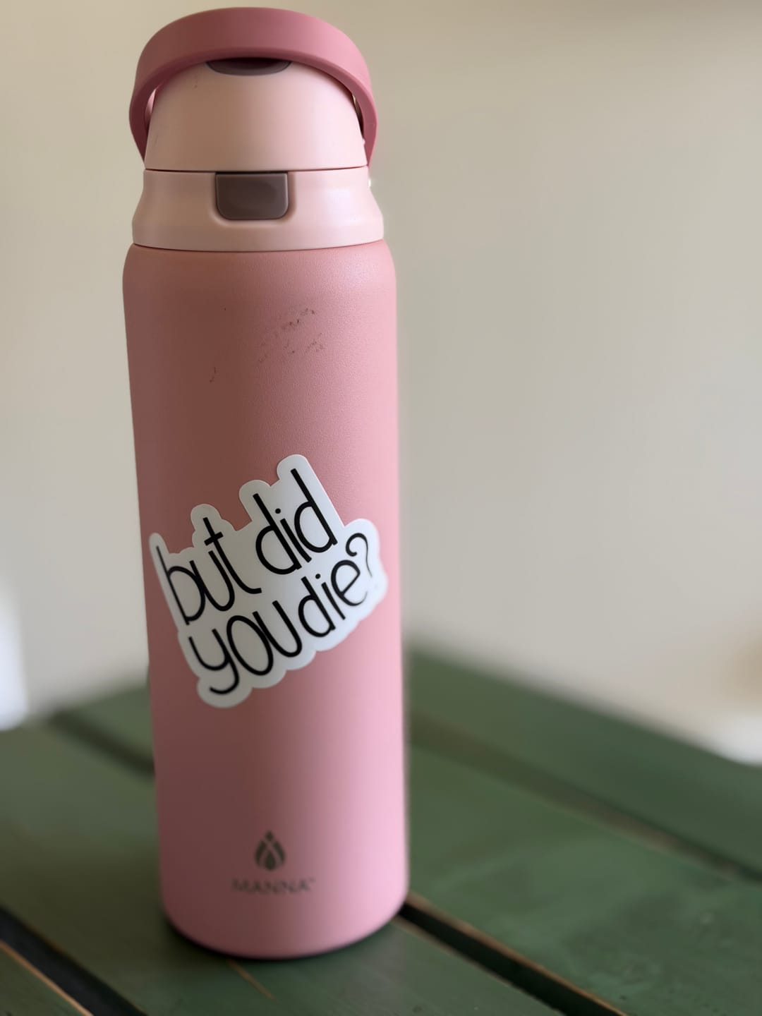 Customer photo review of But Did You Die? Sarcasm Sticker