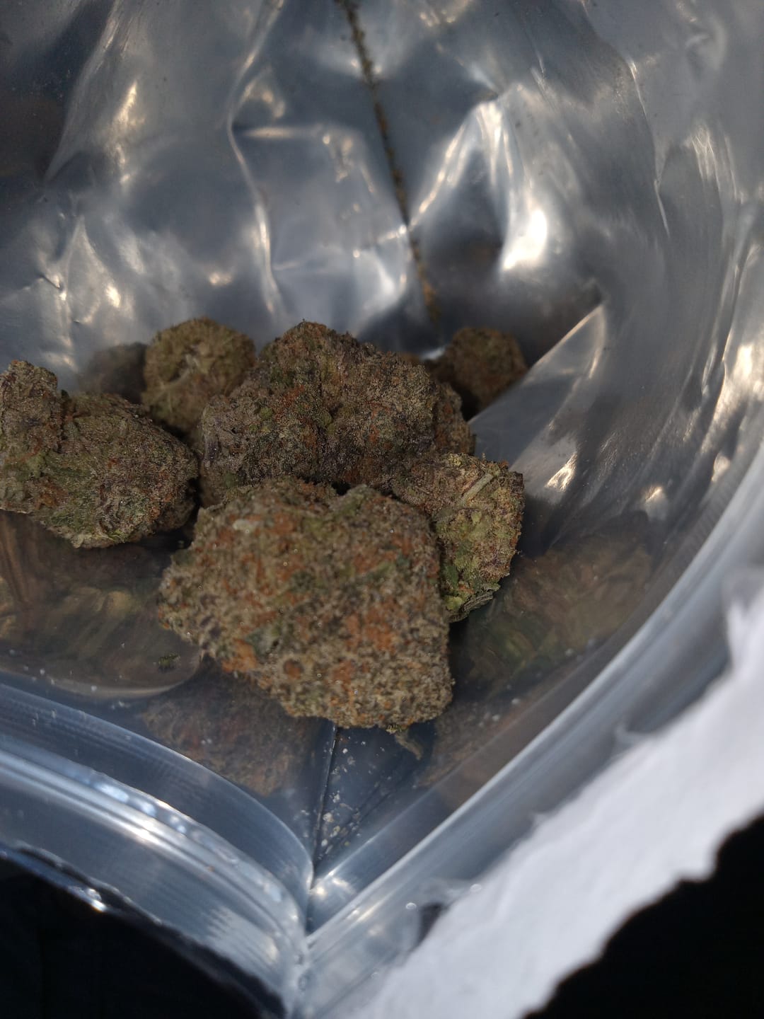 Customer photo review of Double Runtz - Greenhouse