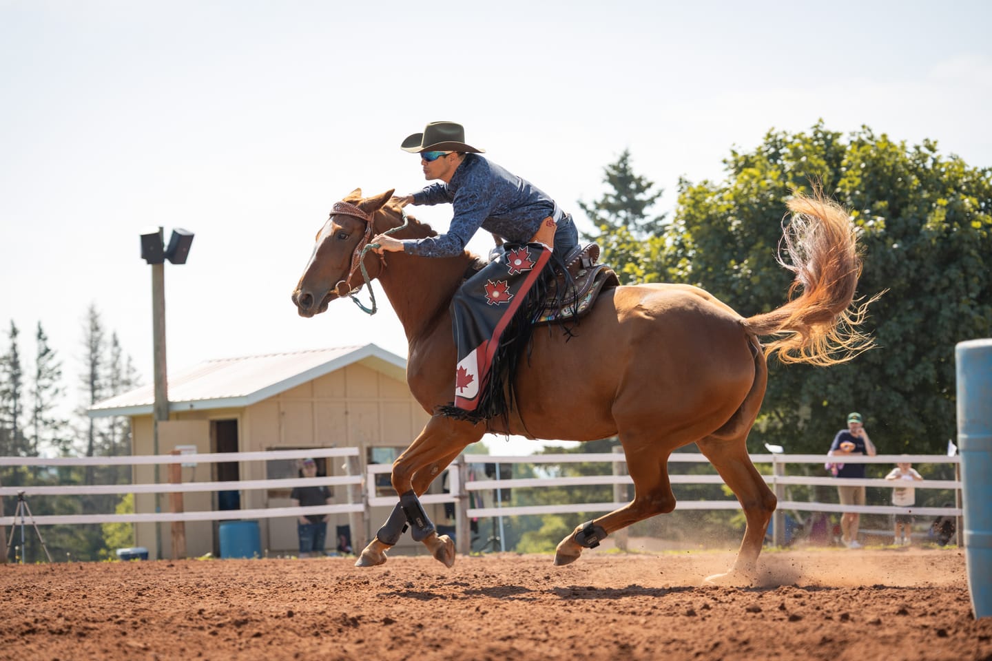 Customer photo review of Saddle Barn Super Pro Rough Stock Rodeo Chaps
