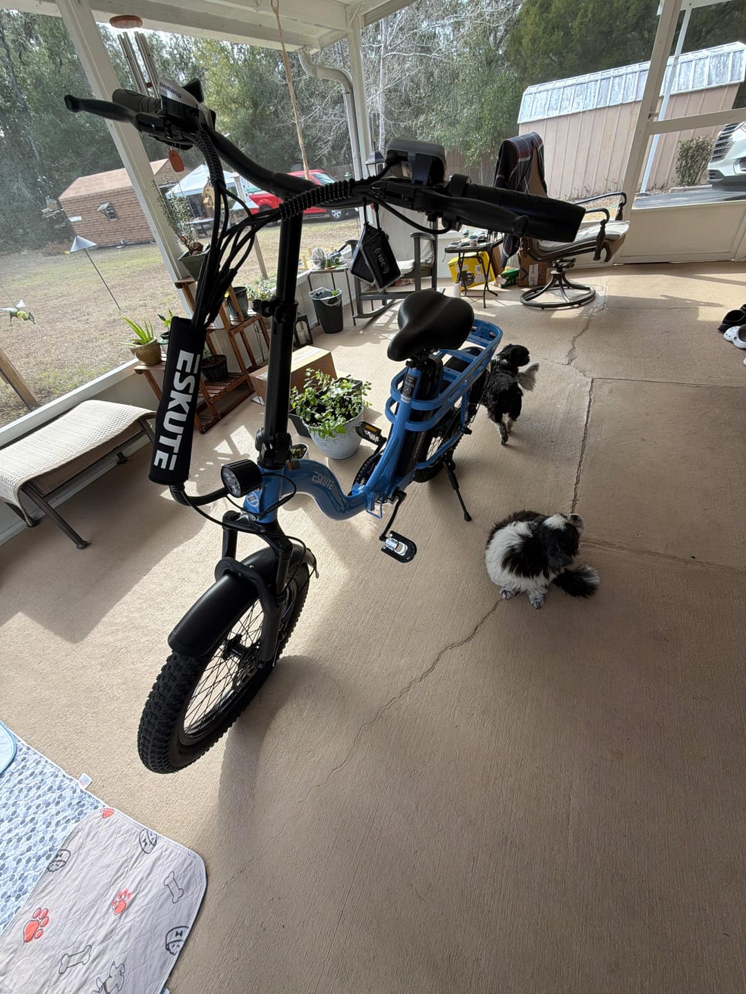 Customer photo review of Eskute® D200 Folding Electric Bike for Adults