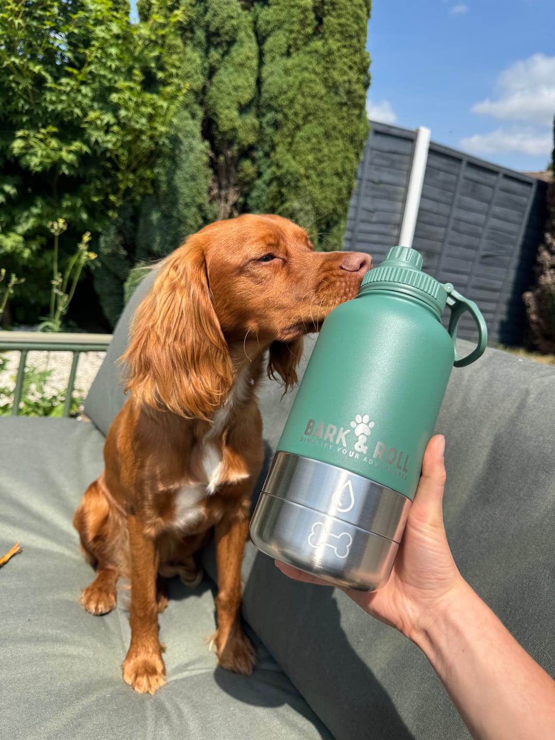 Customer photo review of 3-in-1 Portable Water Bottle