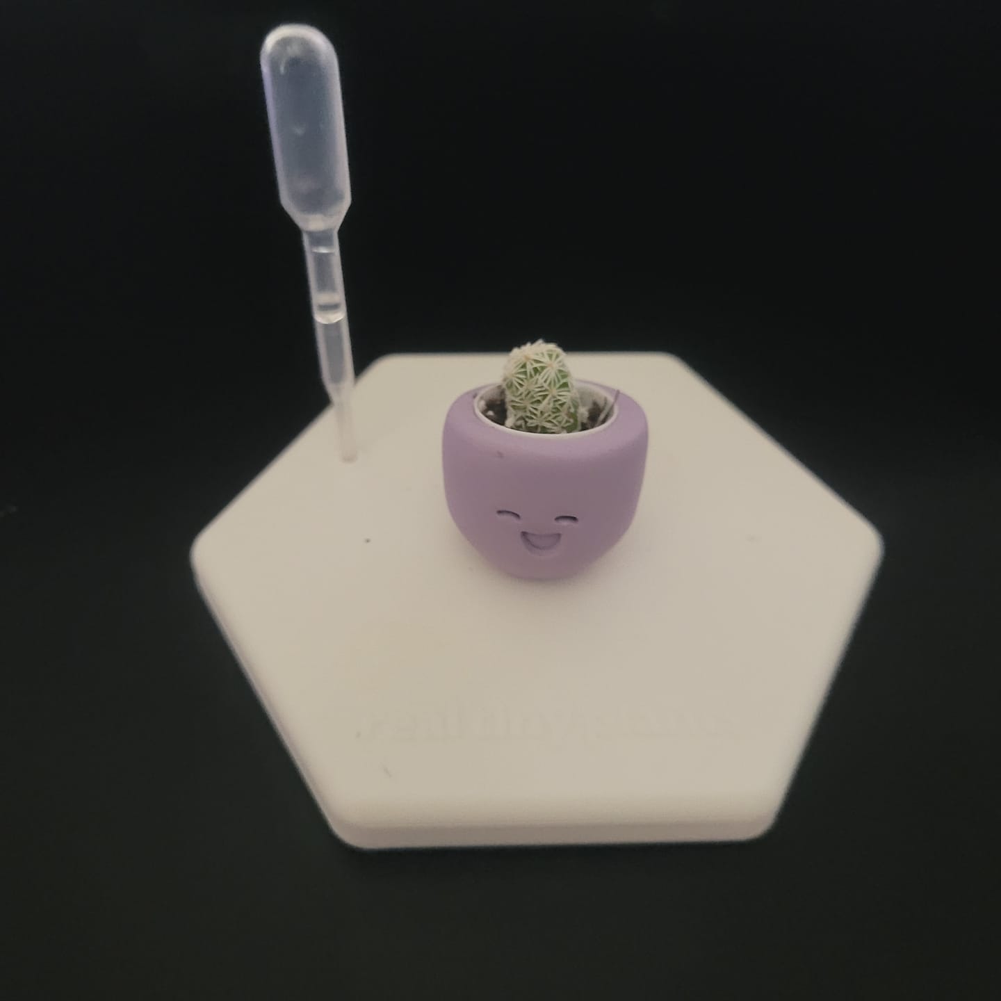 Customer photo review of Little Lavender