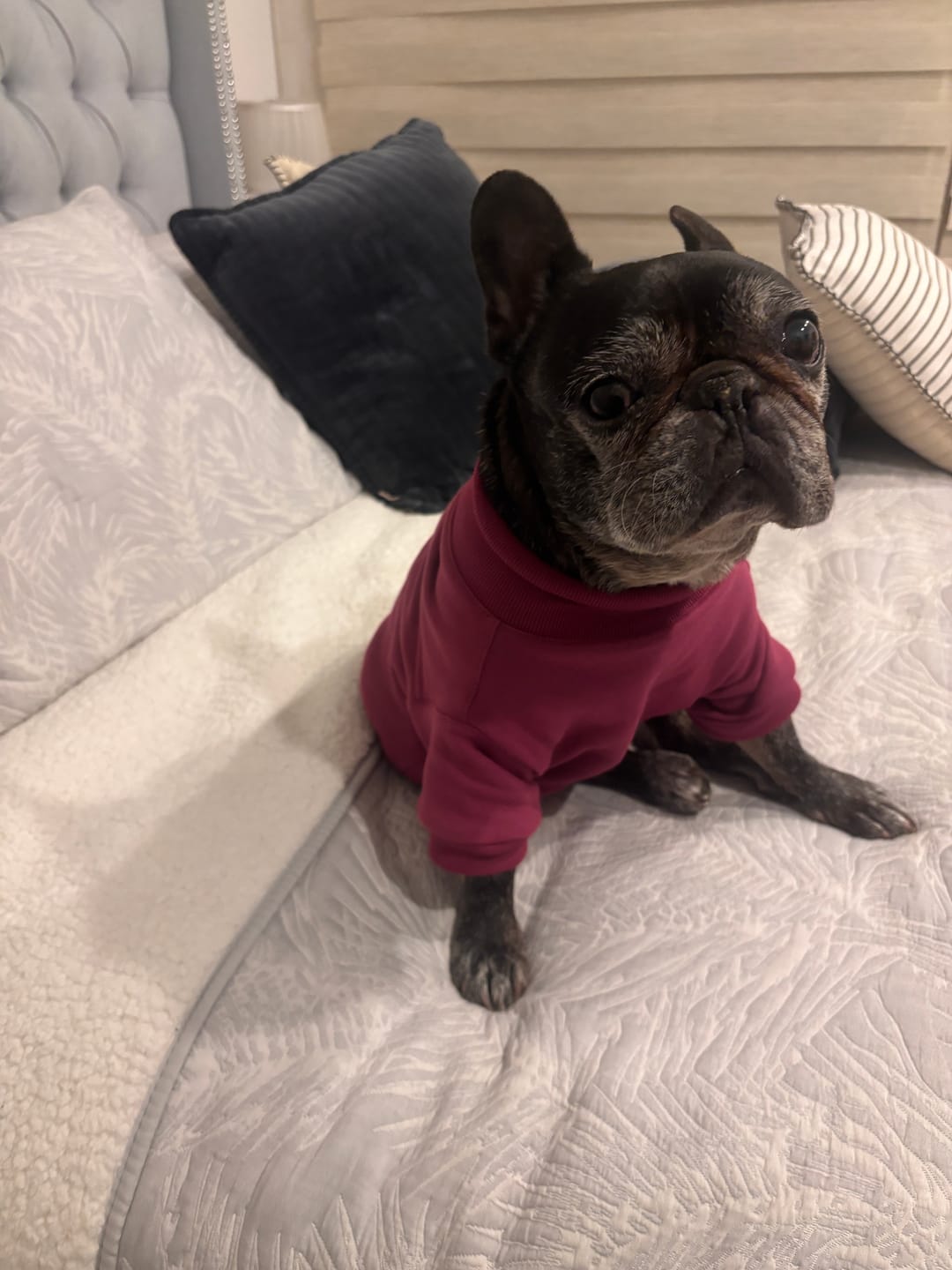 Customer photo review of Poleron Altitud Magenta