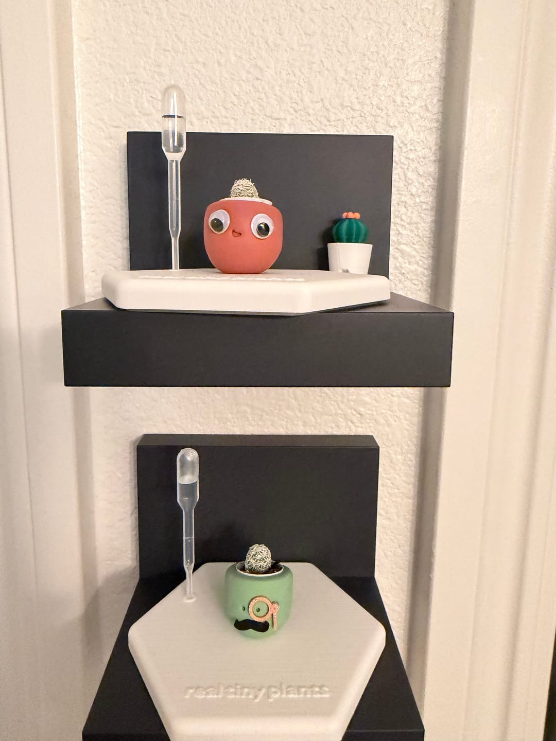 Customer photo review of Mystery Pool