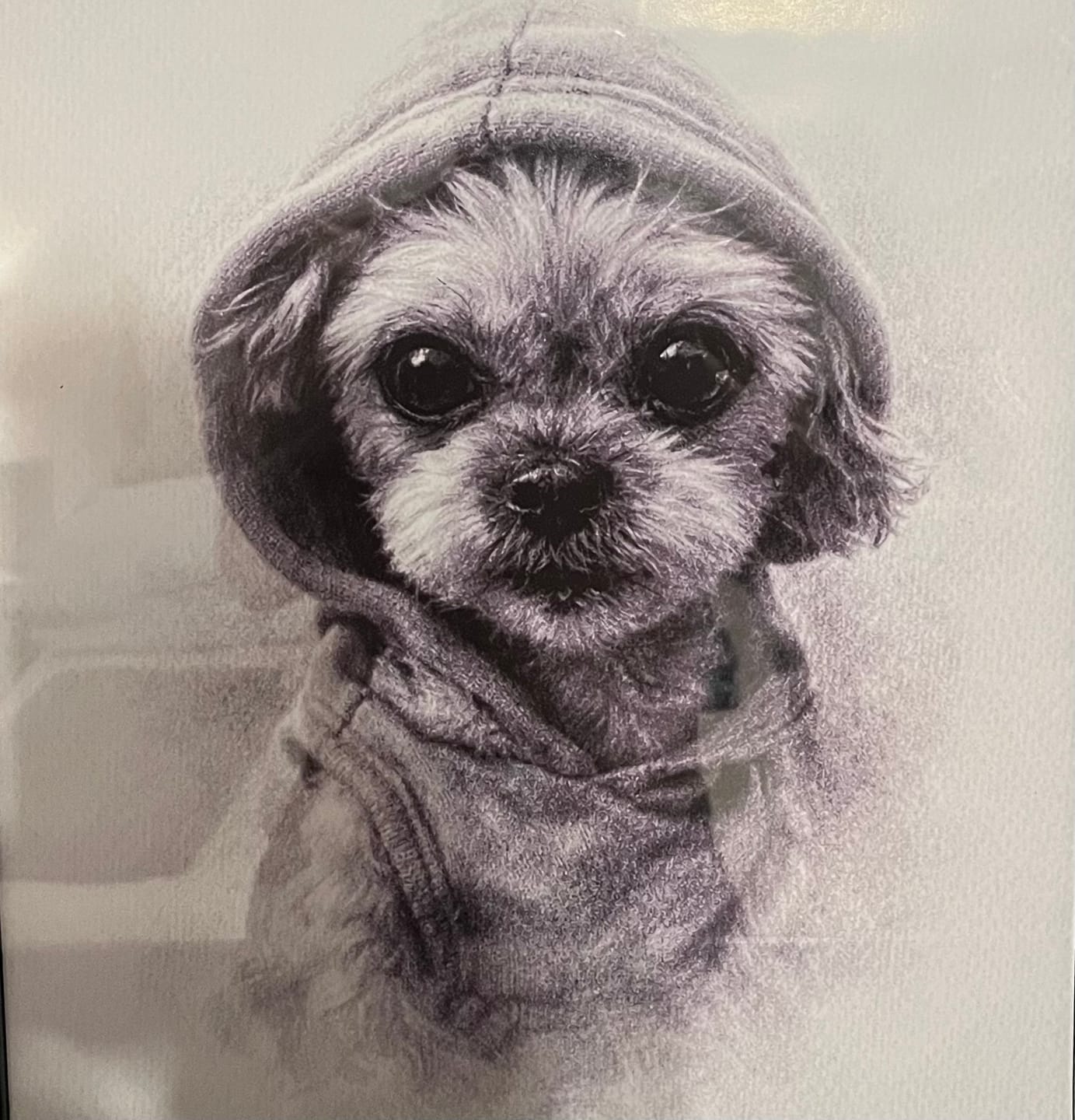 Customer photo review of Charcoal - Personalized Poster