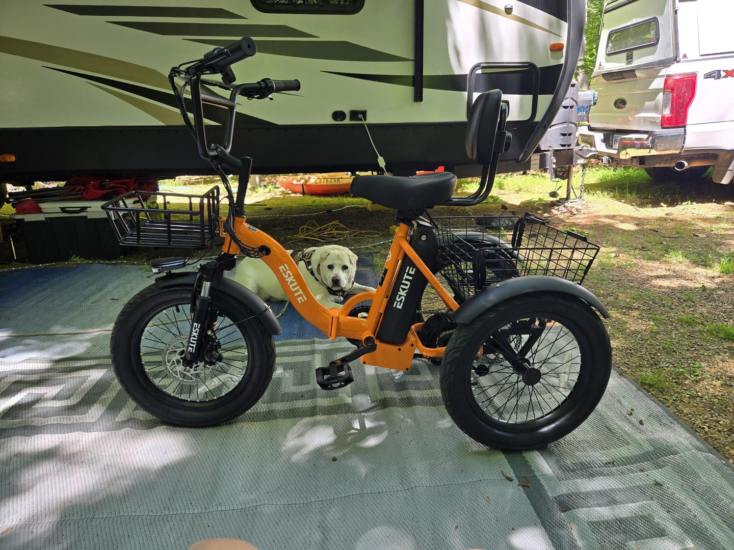 Customer photo review of Eskute® T300 Folding Electric Trike