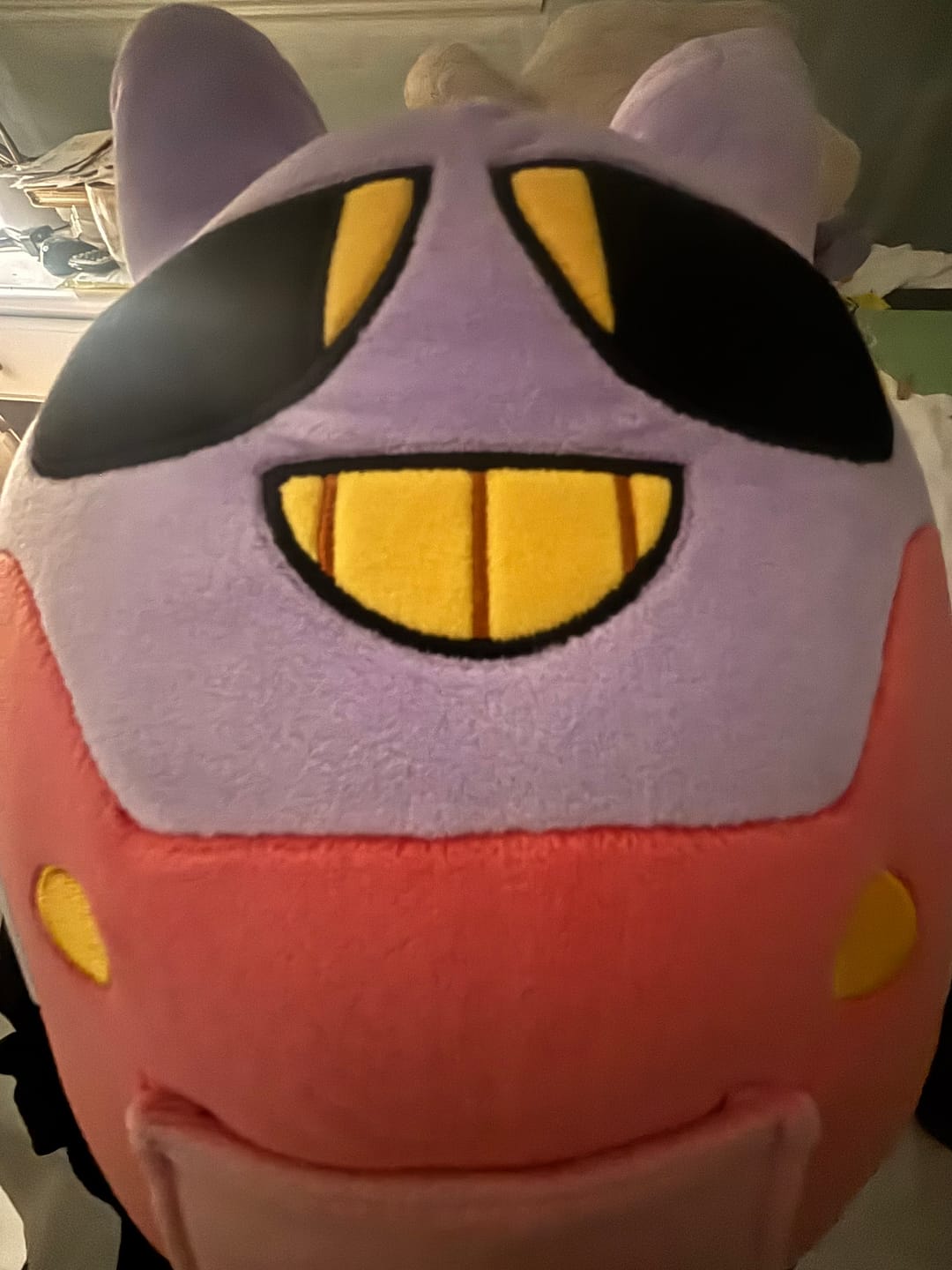 Customer photo review of Jax Chonk Plush